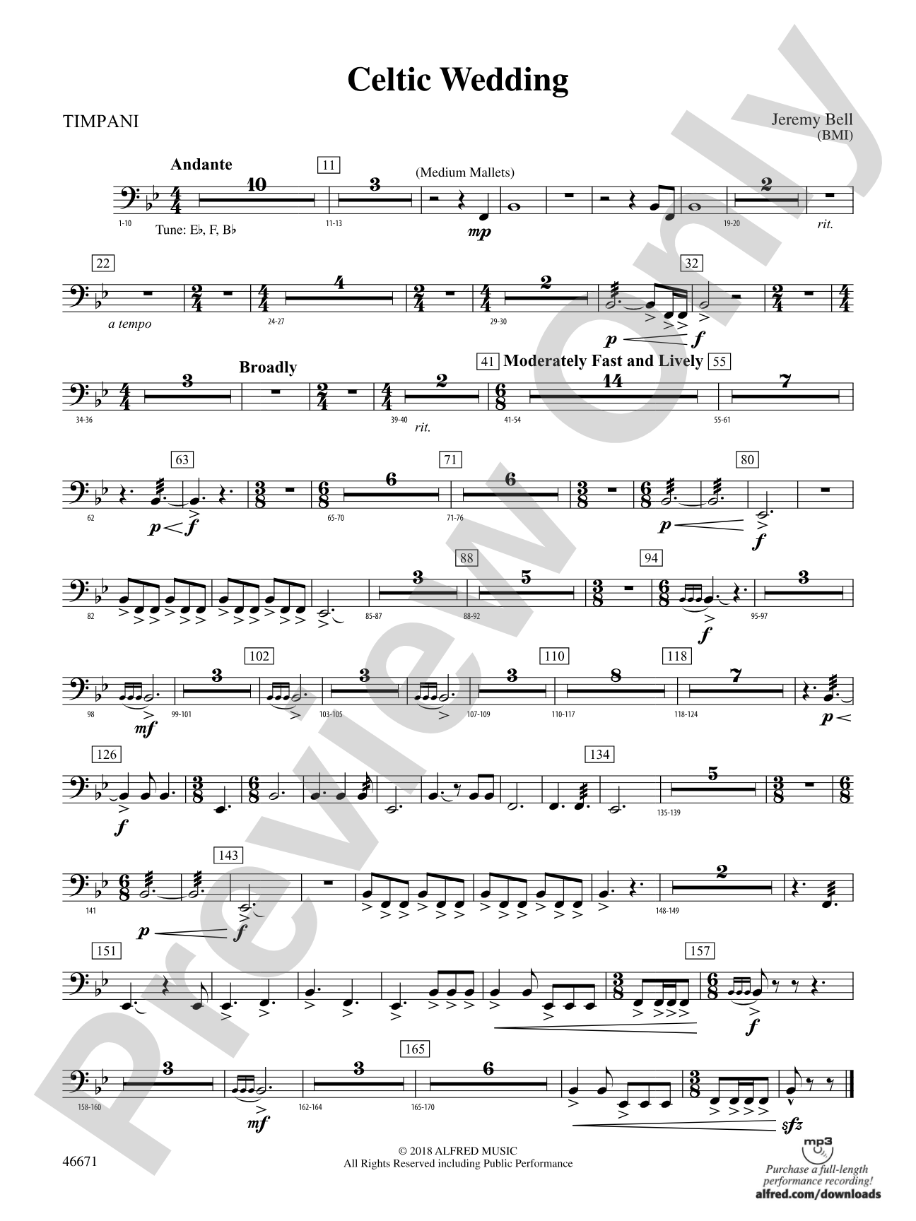 Celtic Wedding: Timpani