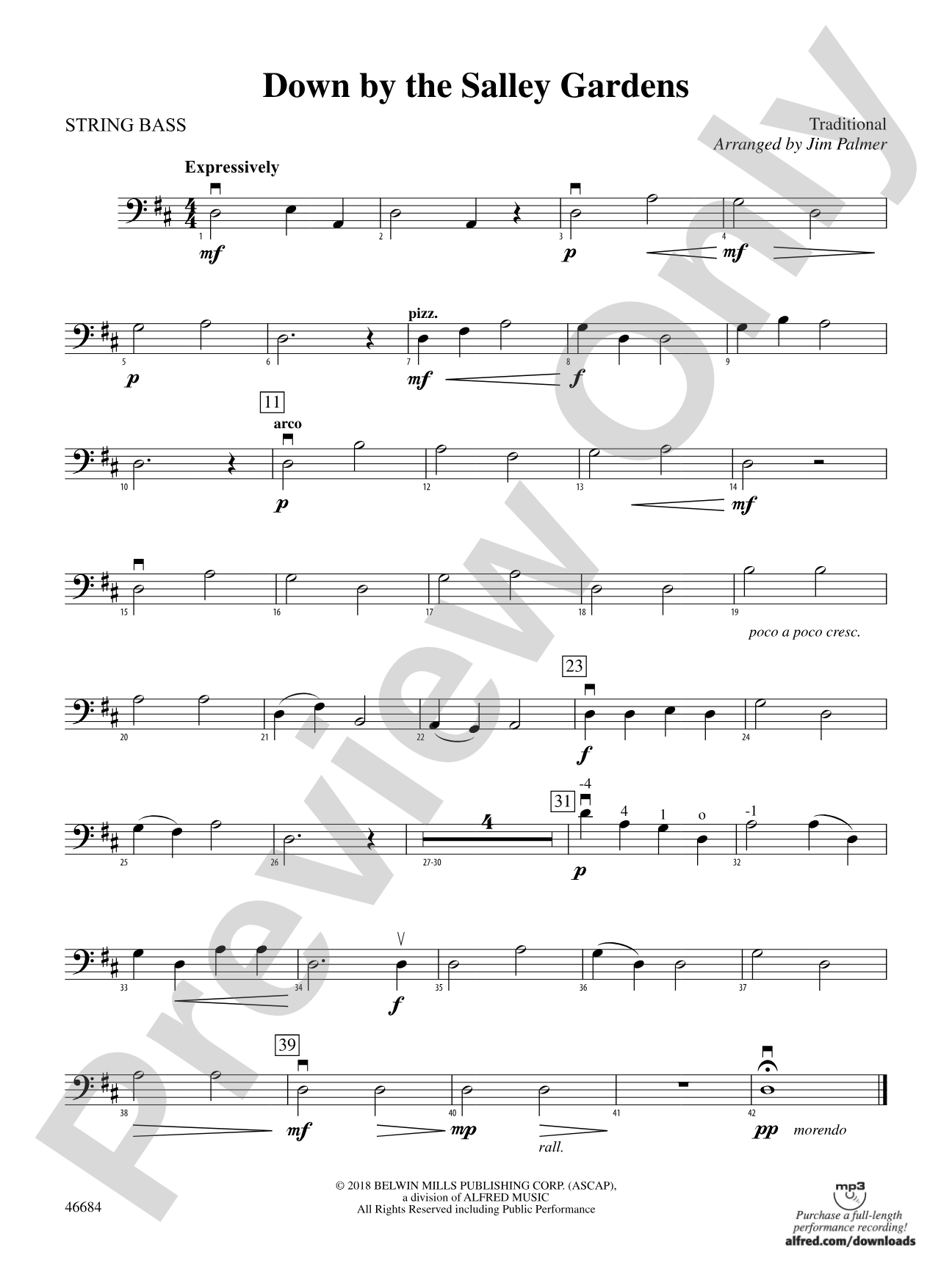 Down by the Salley Gardens: String Bass