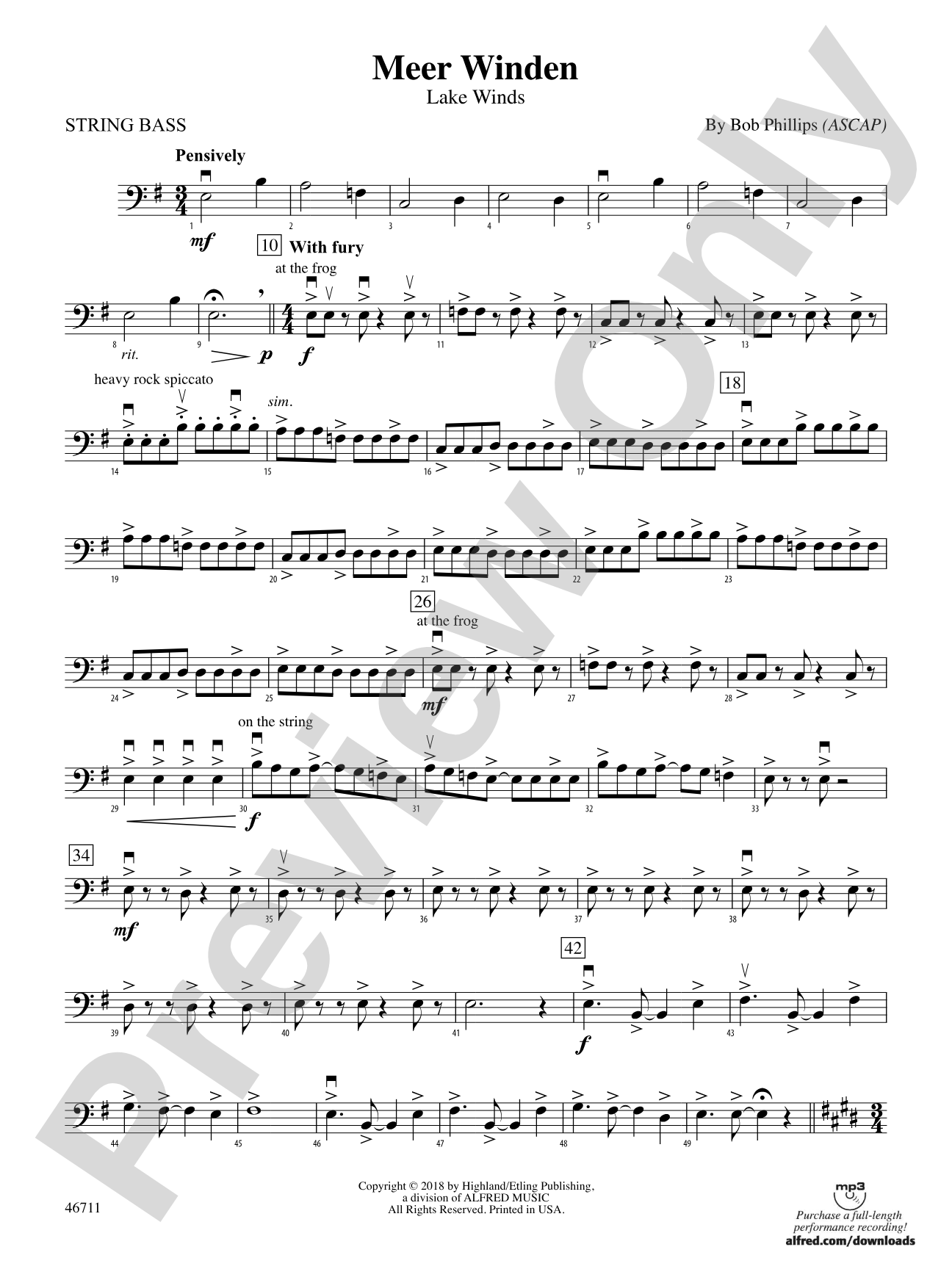 Meer Winden: String Bass