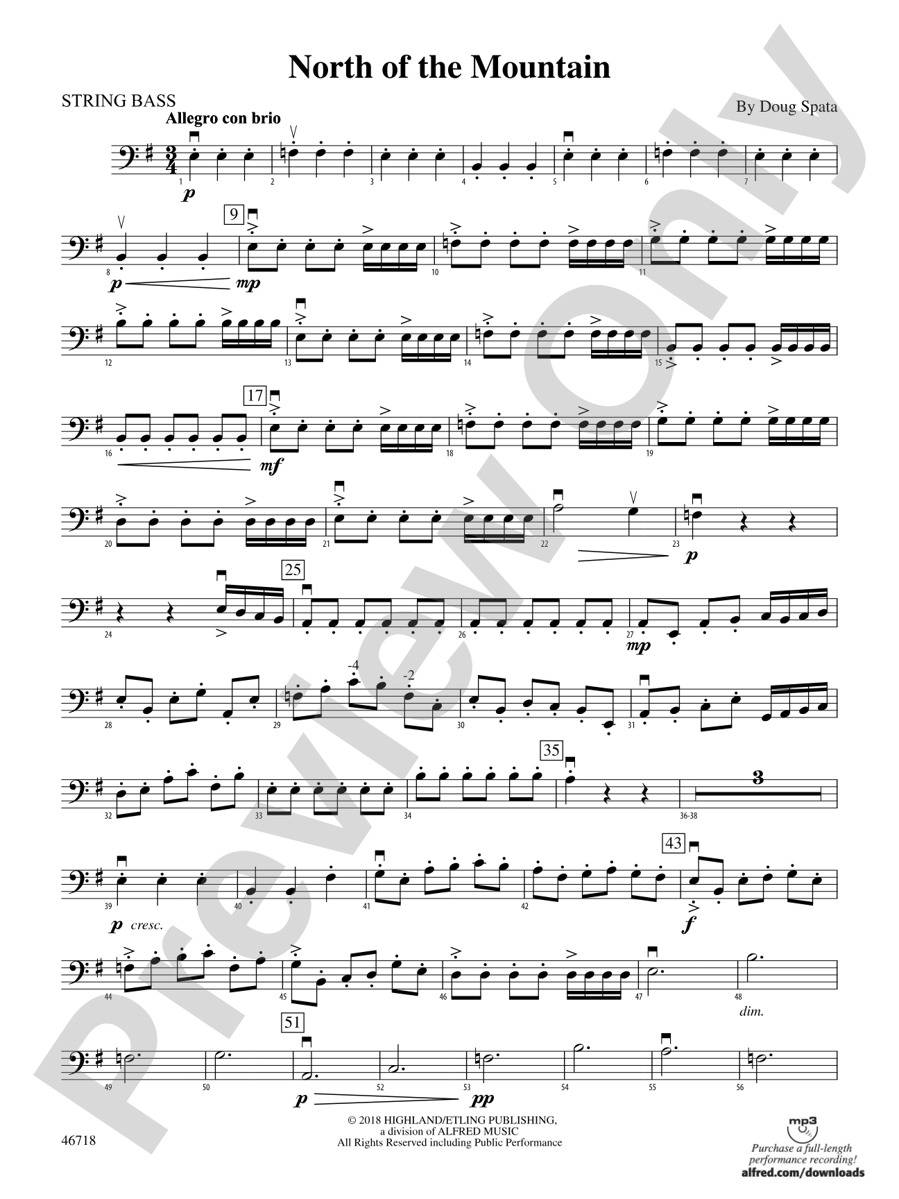 North of the Mountain: String Bass