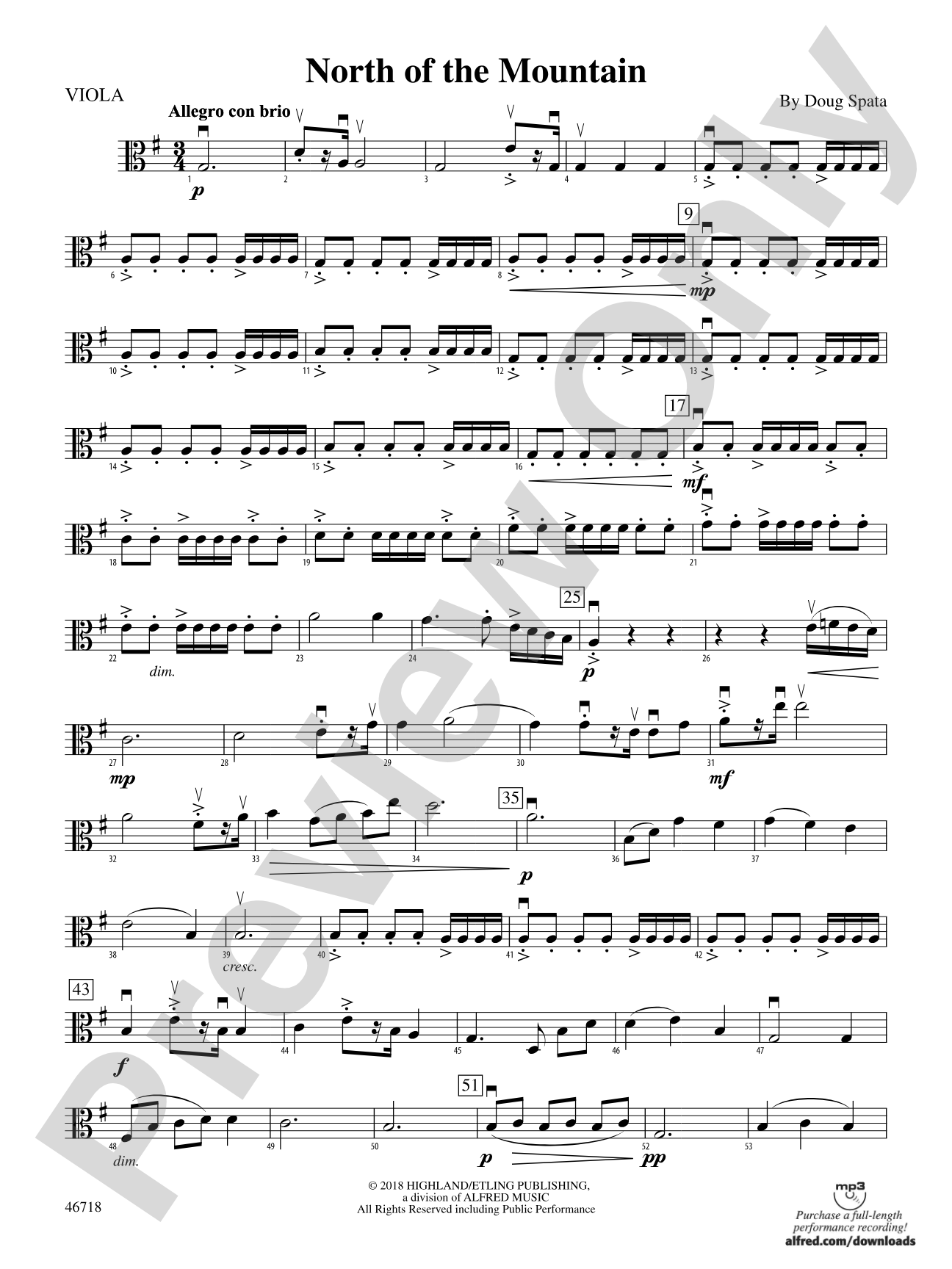North of the Mountain: Viola