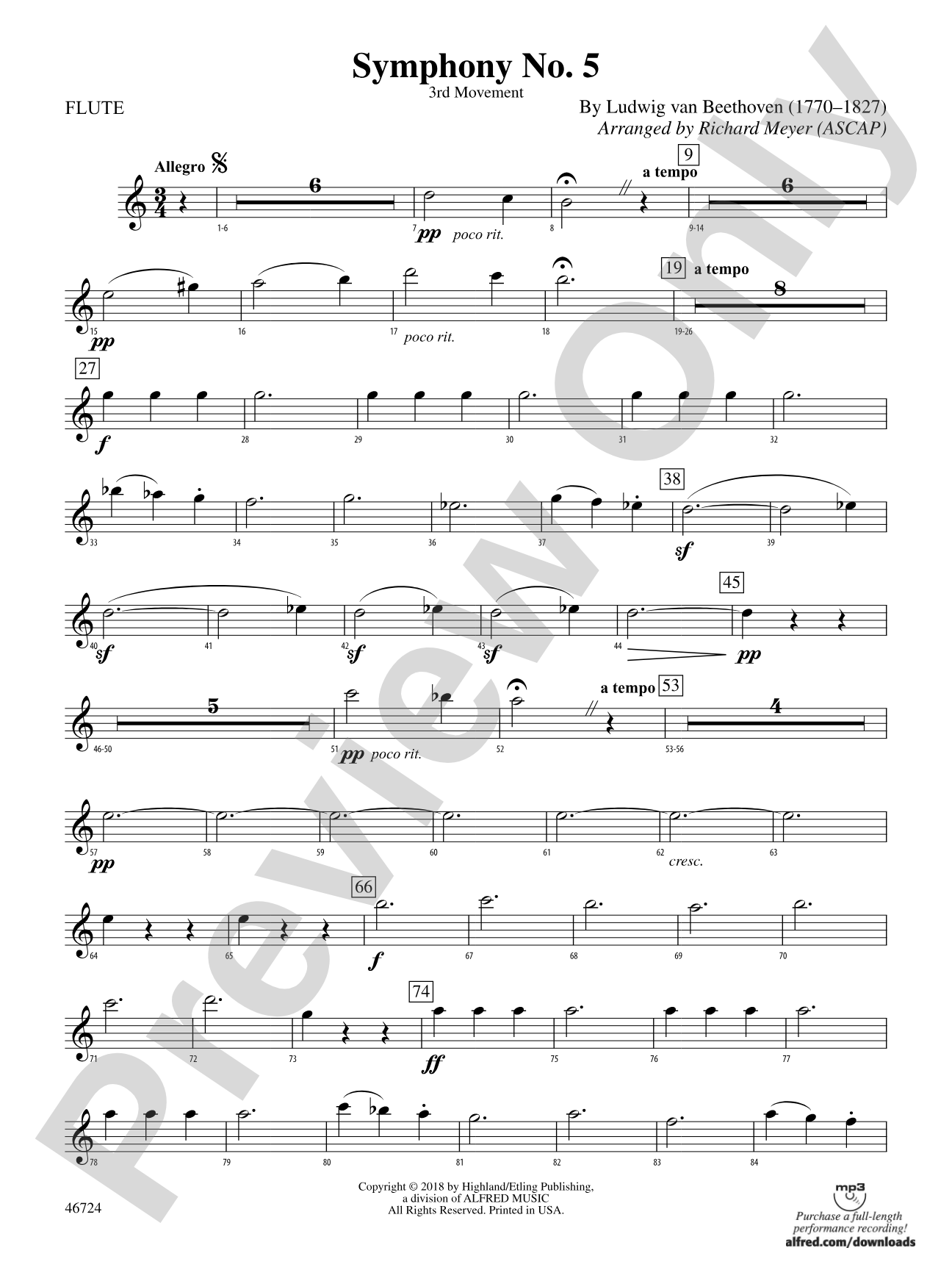 Symphony No. 5: Flute
