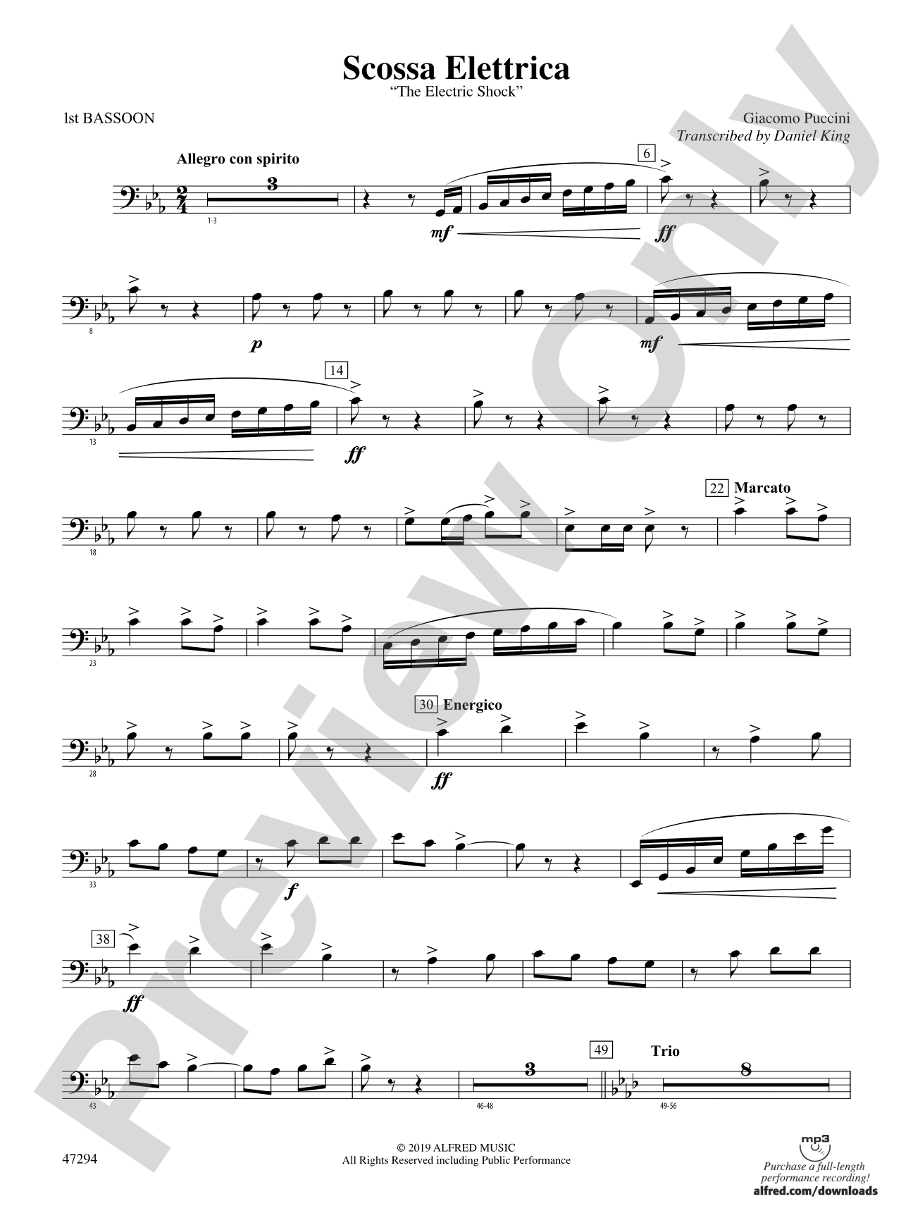 Scossa Elettrica: Bassoon