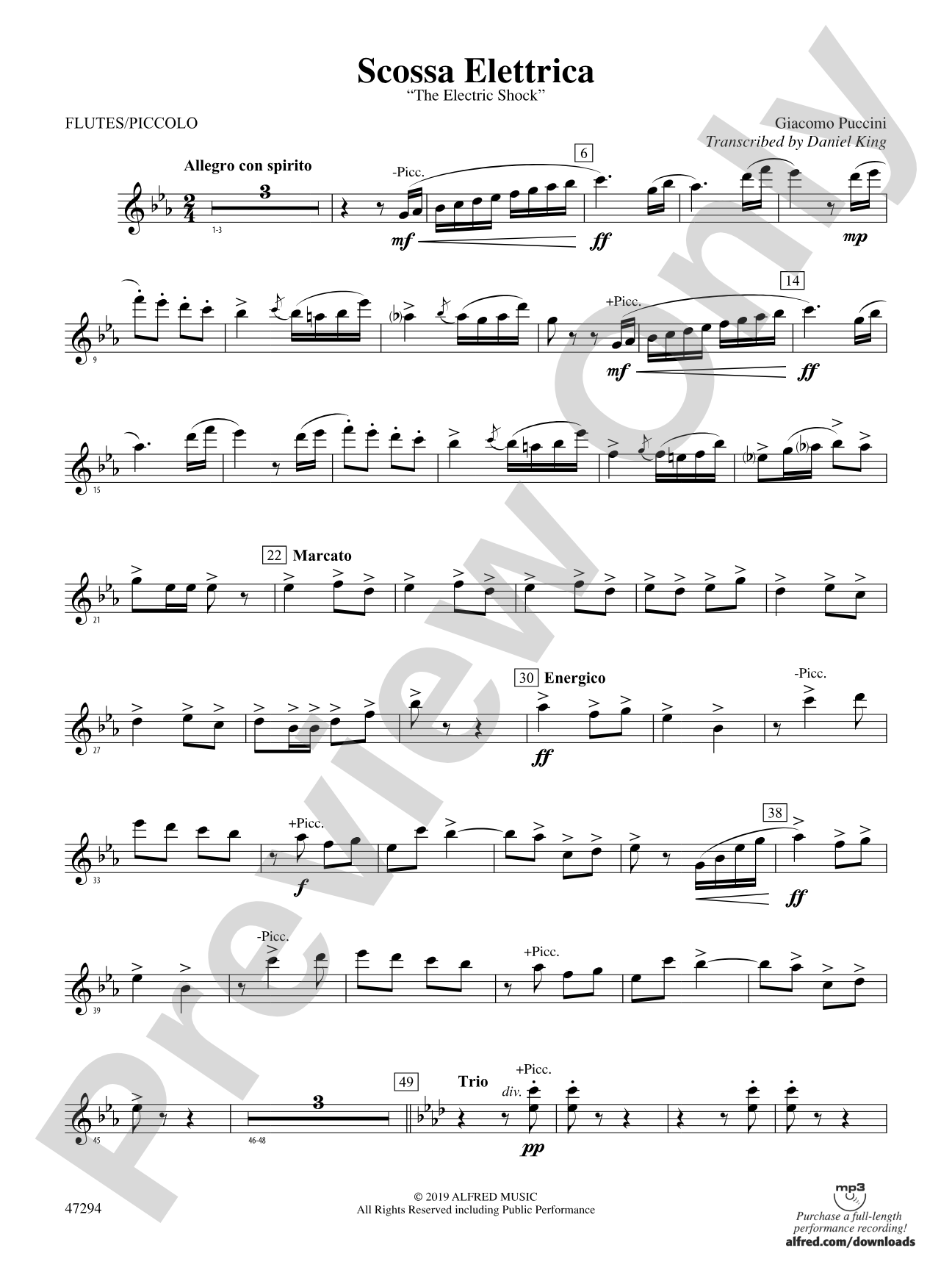 Scossa Elettrica: Flute