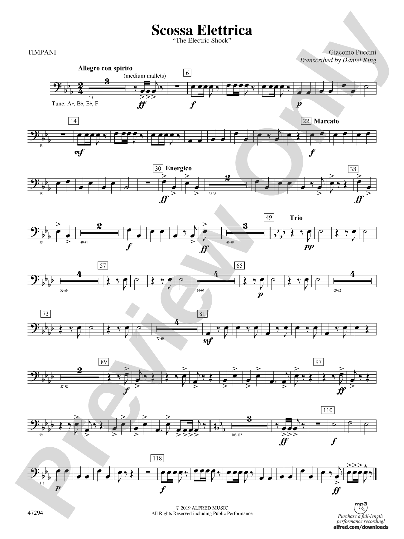 Scossa Elettrica: Timpani