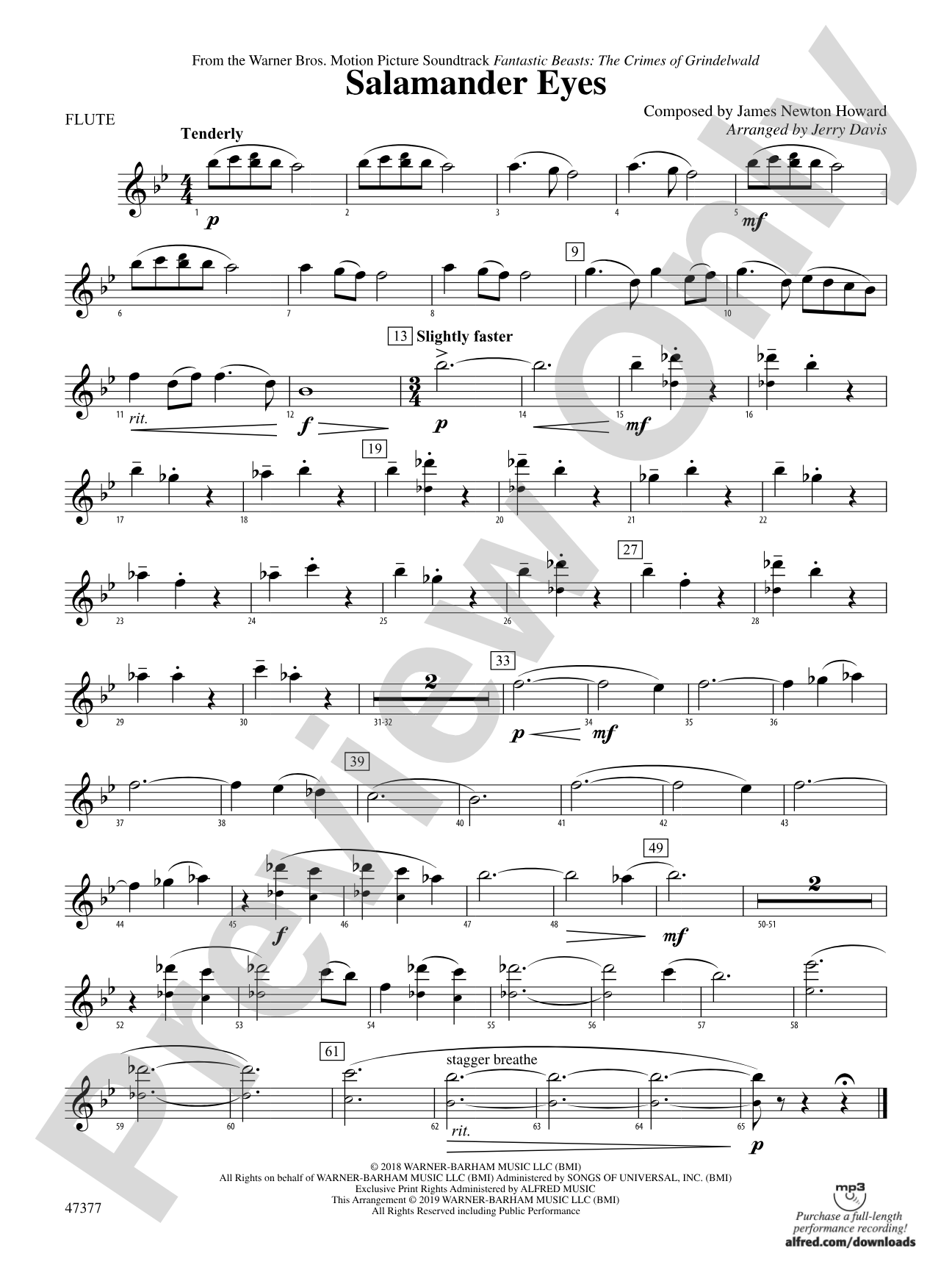 Salamander Eyes: Flute