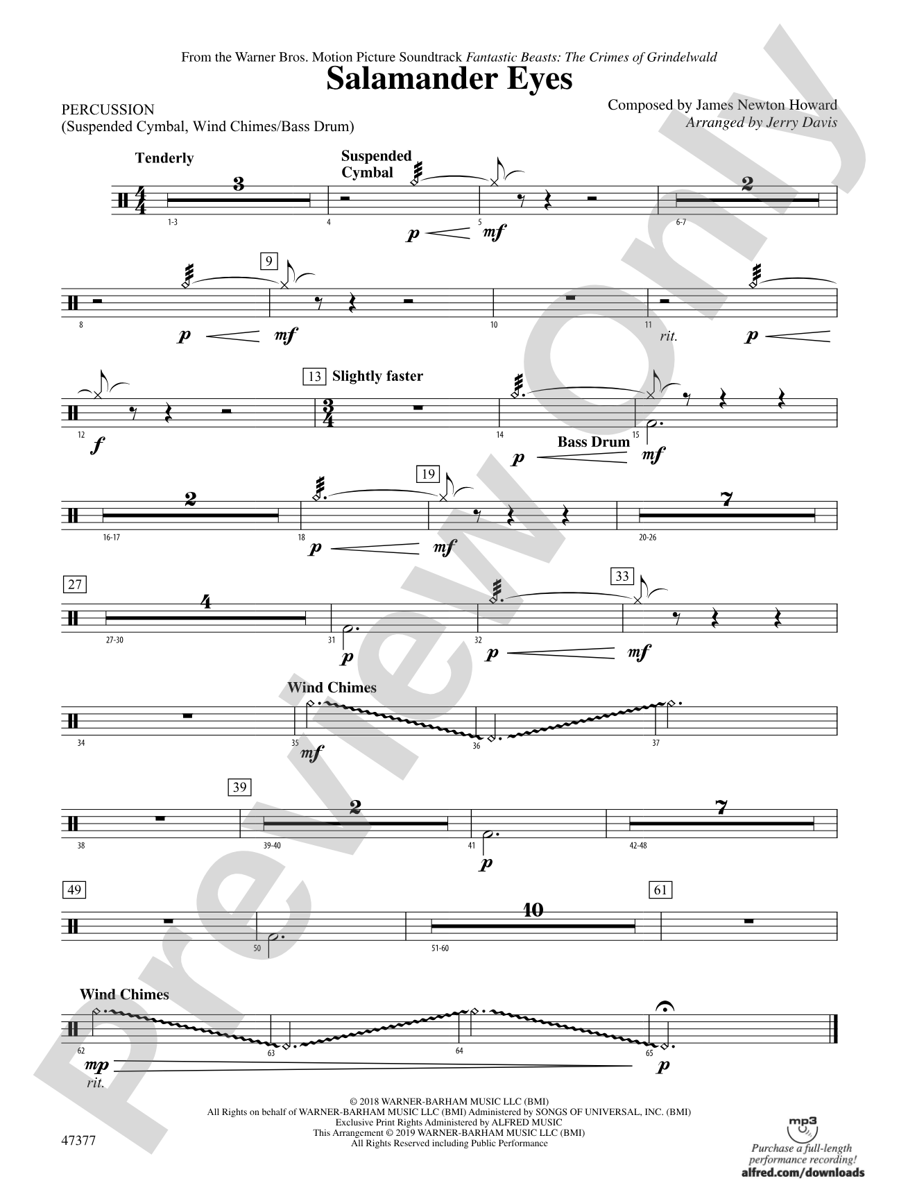 Salamander Eyes: 1st Percussion