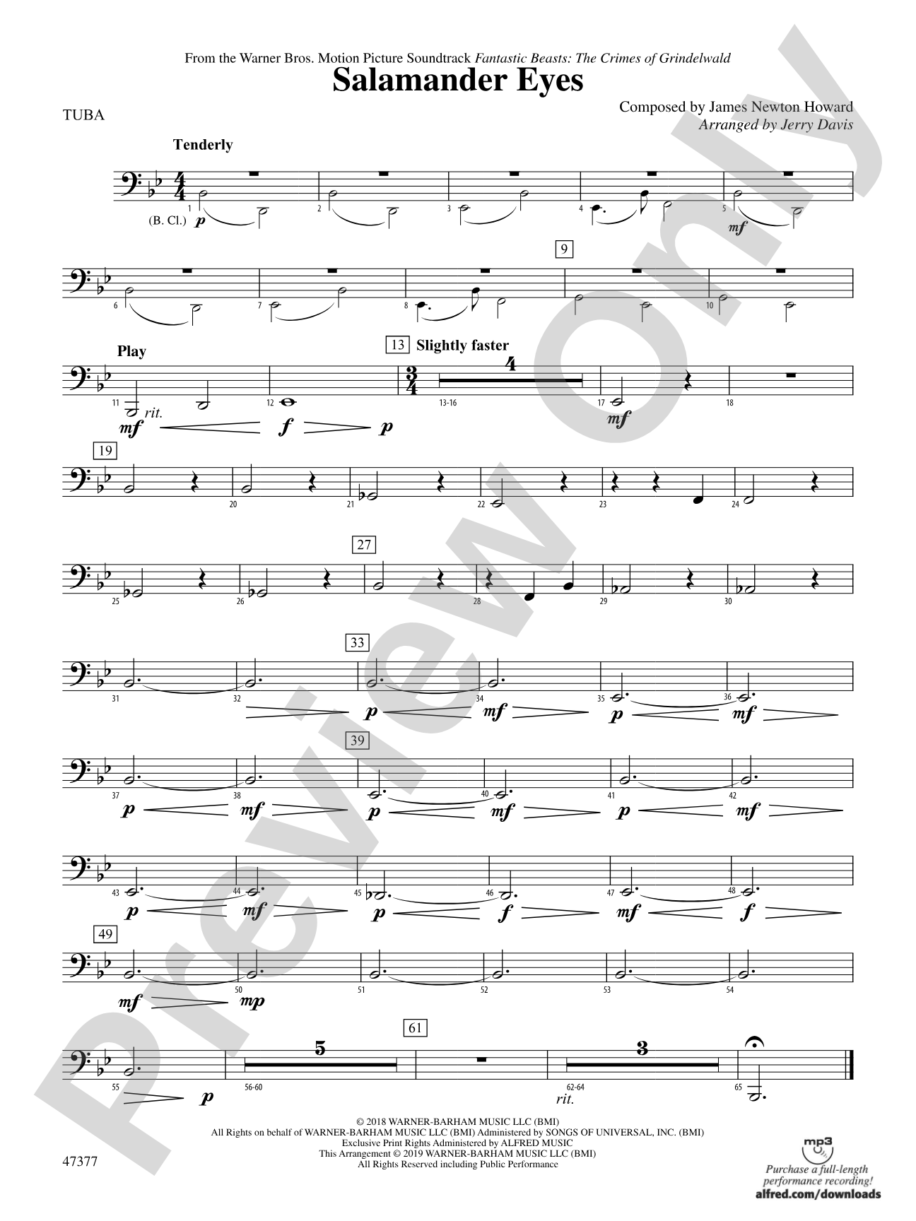 Salamander Eyes: Tuba