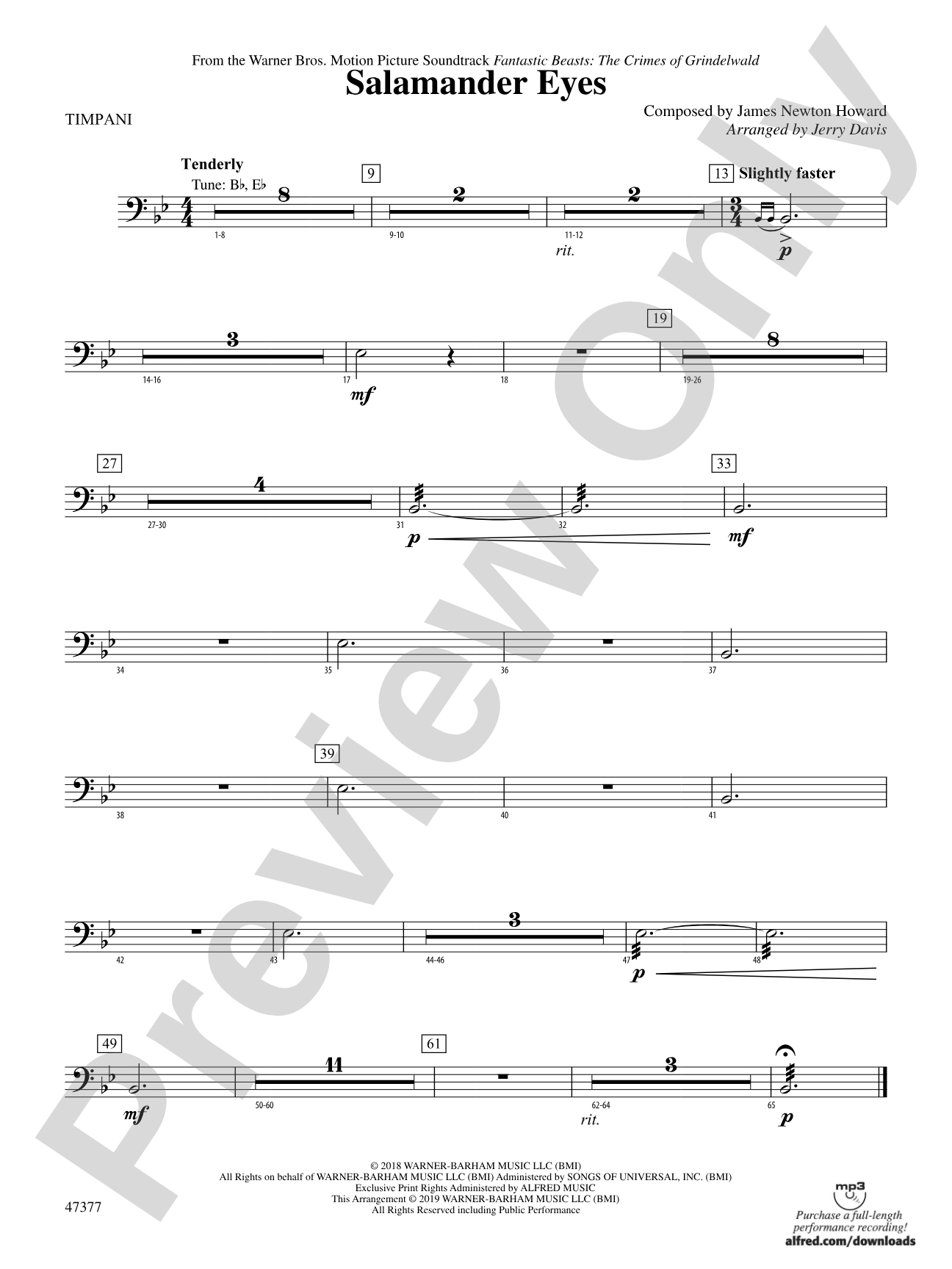 Salamander Eyes: Timpani