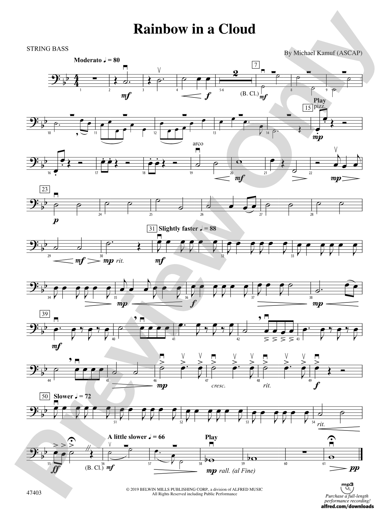 Rainbow in a Cloud: String Bass