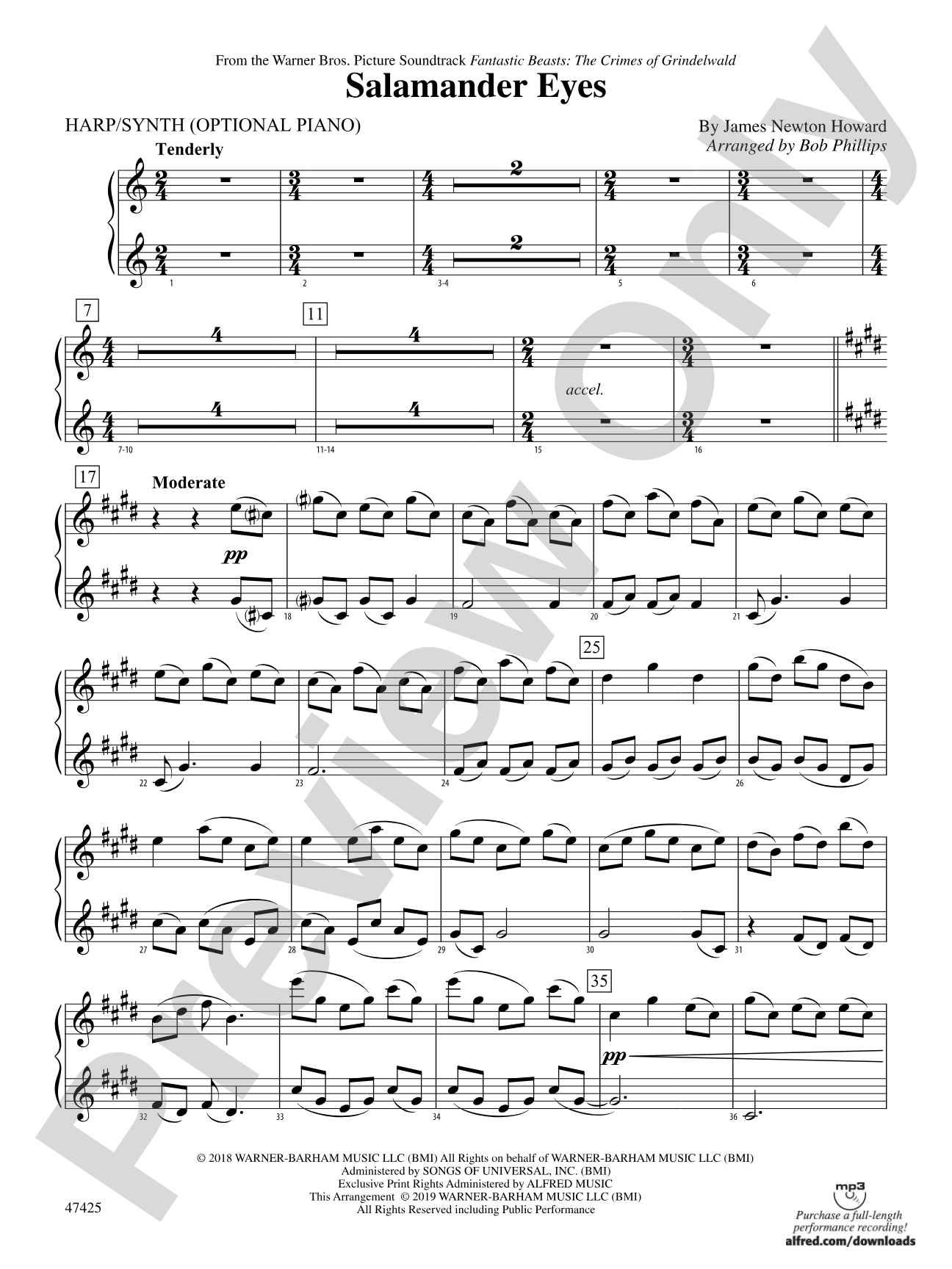 Salamander Eyes: Piano Accompaniment