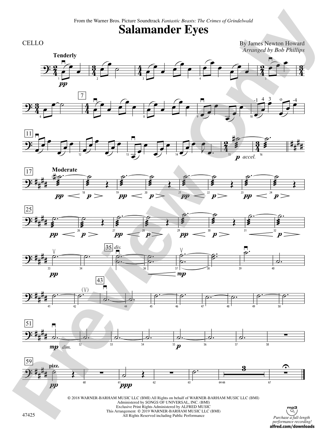 Salamander Eyes: Cello