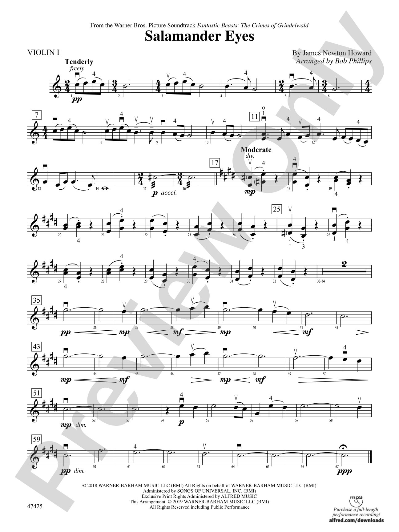 Salamander Eyes: 1st Violin