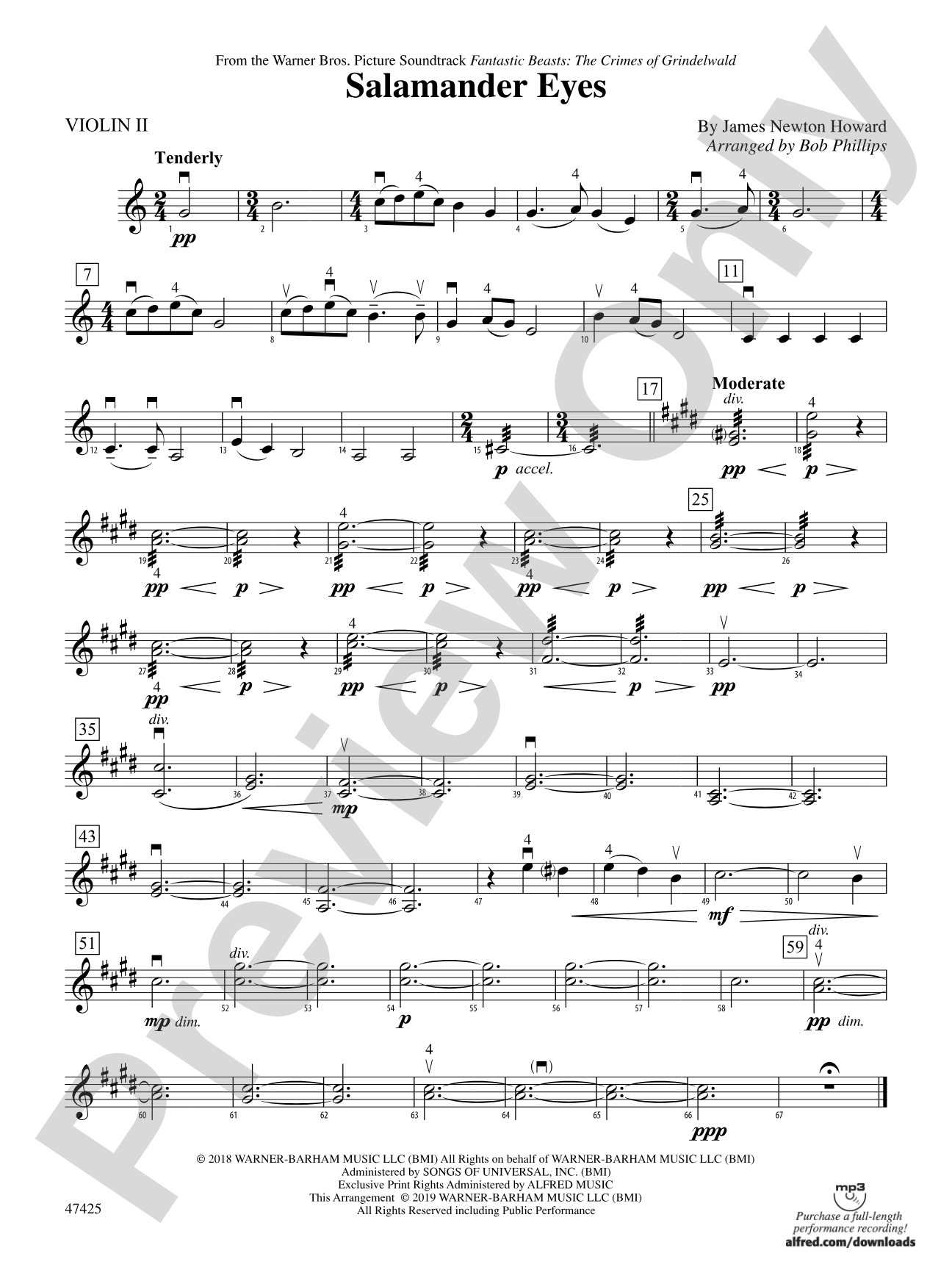 Salamander Eyes: 2nd Violin