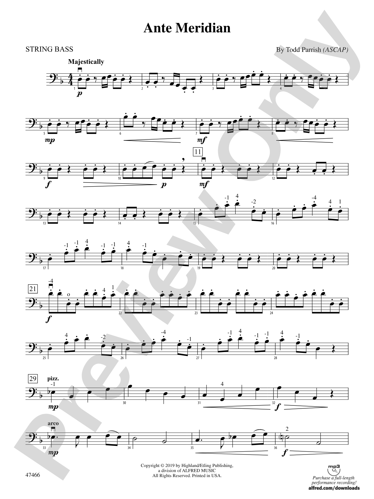 Ante Meridian: String Bass