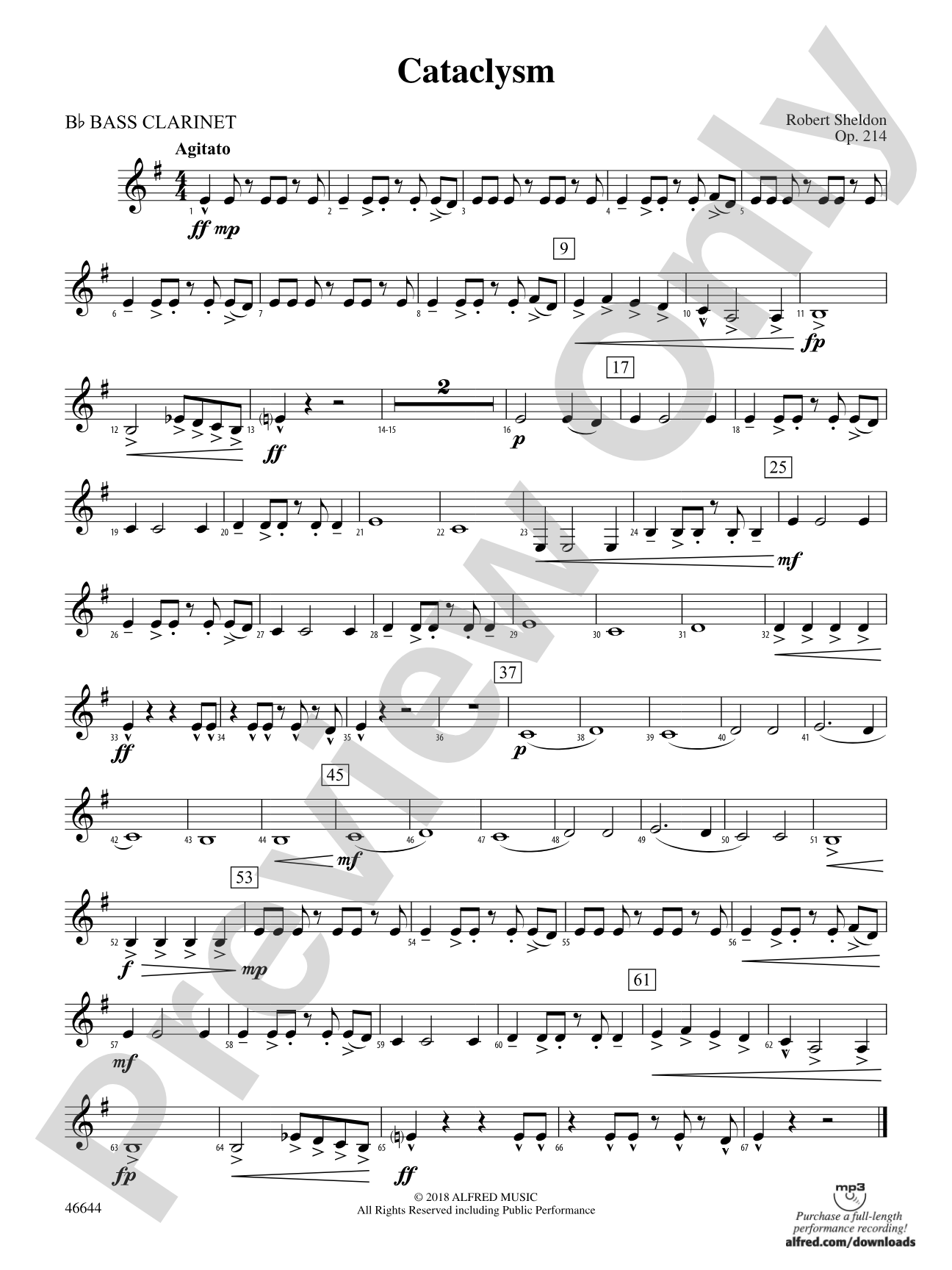 Cataclysm: B-flat Bass Clarinet