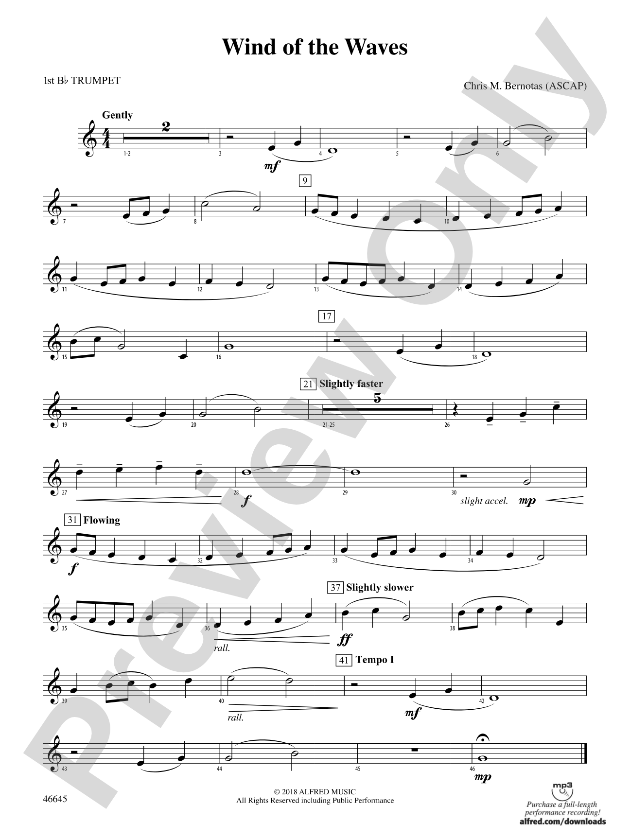 Wind of the Waves: 1st B-flat Trumpet
