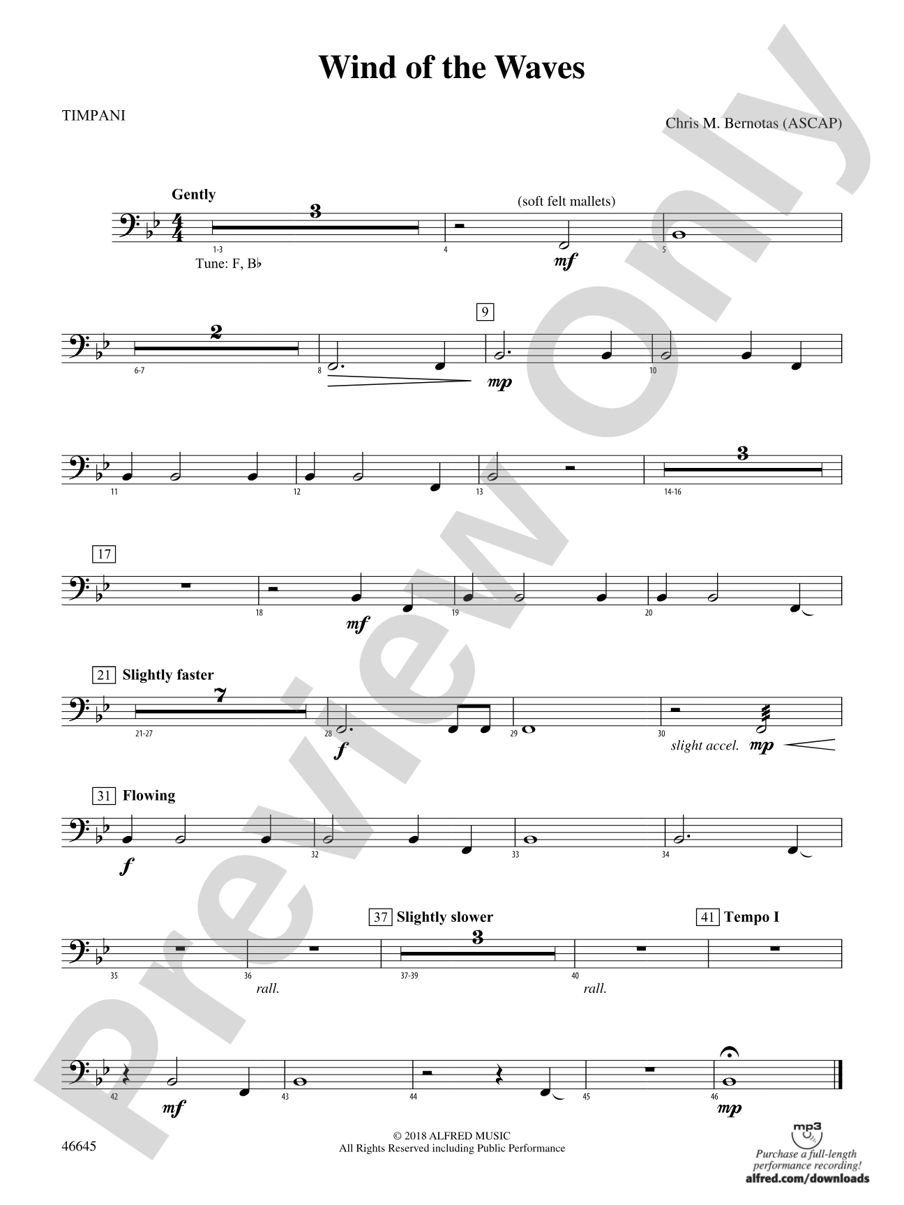 Wind of the Waves: Timpani