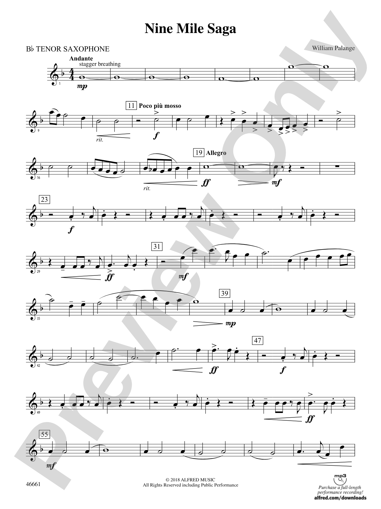 Nine Mile Saga: B-flat Tenor Saxophone