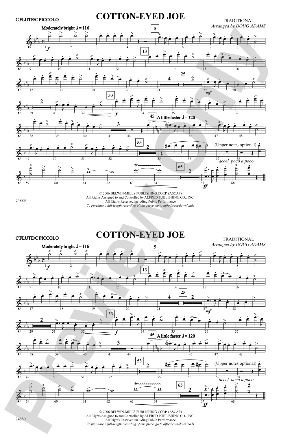 Cotton-Eyed Joe: Flute