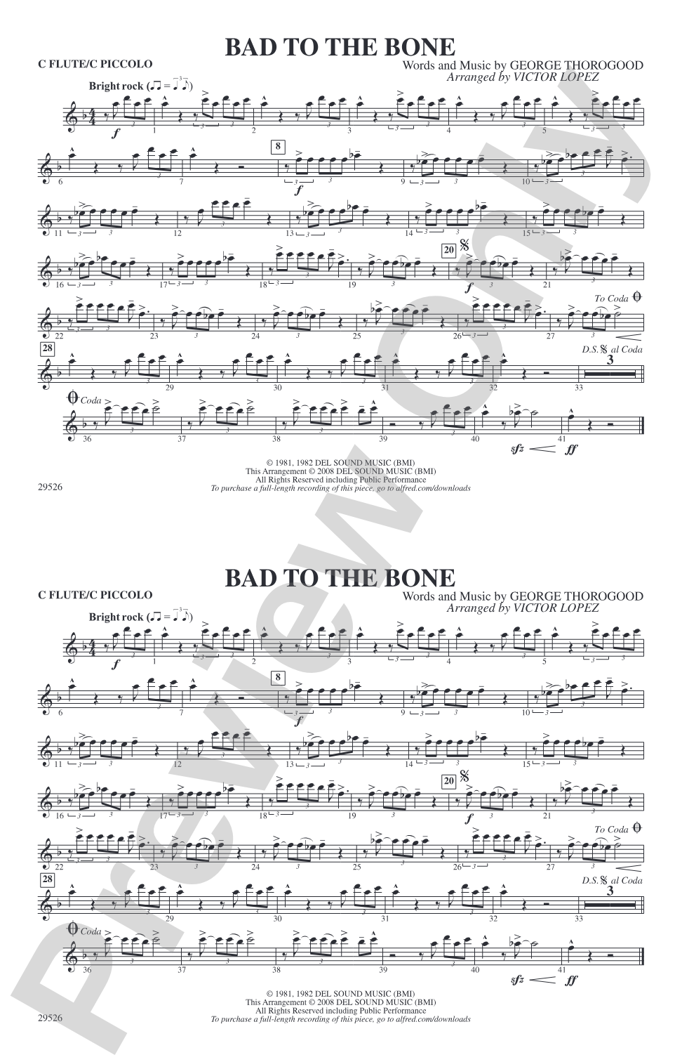 Bad to the Bone: Flute
