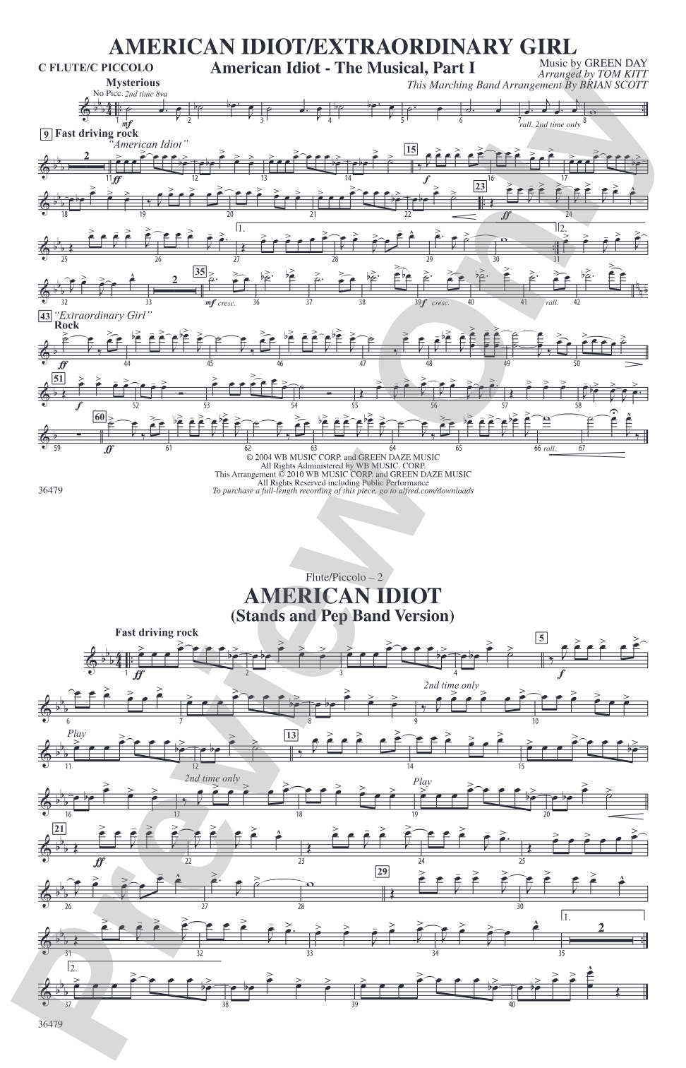 American Idiot / Extraordinary Girl: Flute