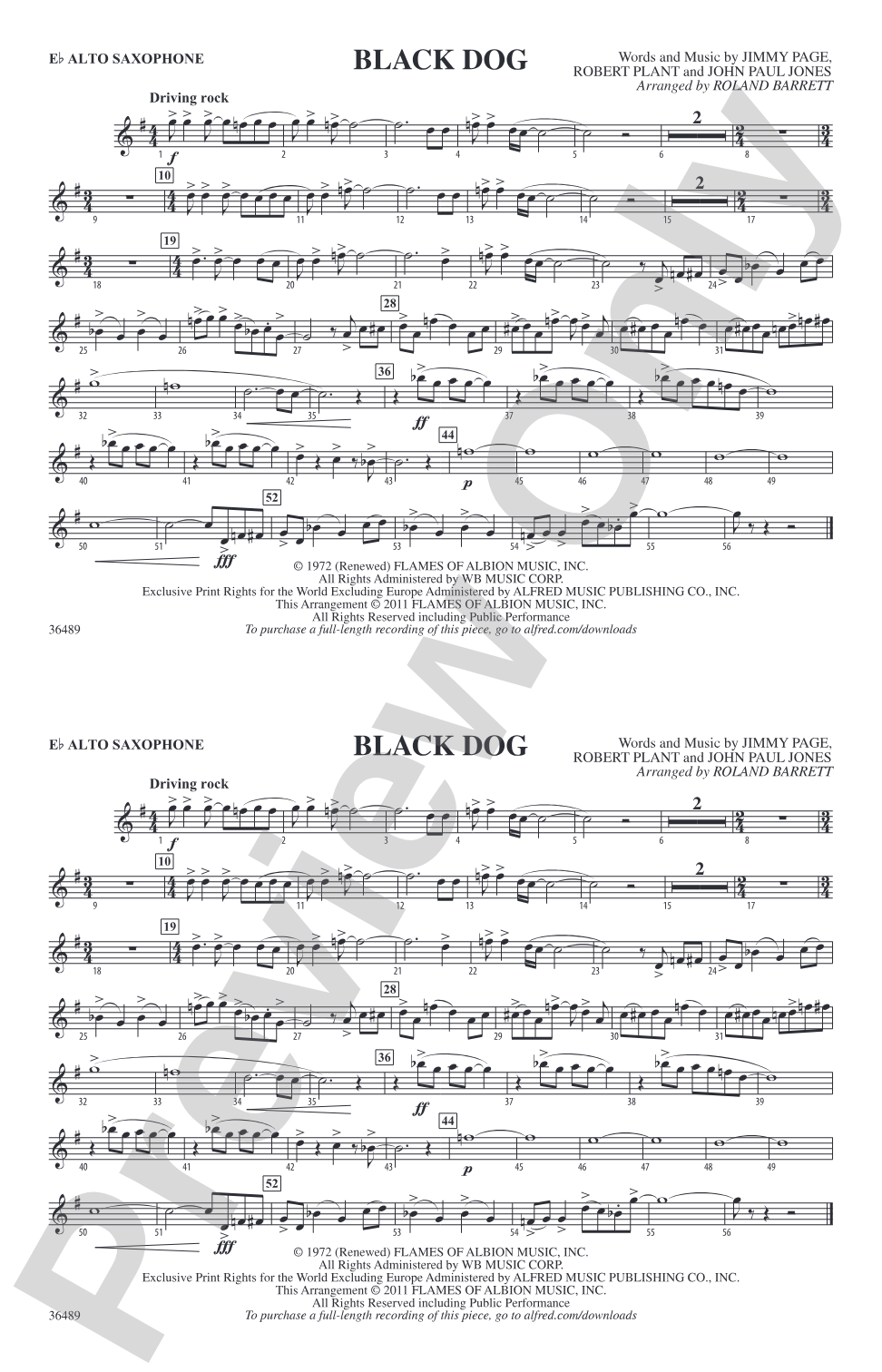 Black Dog: E-flat Alto Saxophone