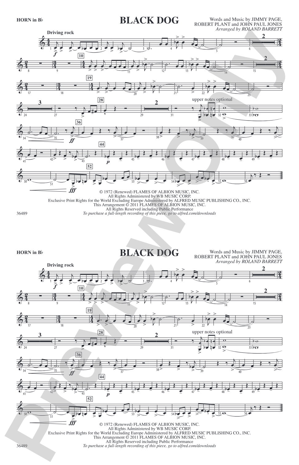 Black Dog: Horn in B flat
