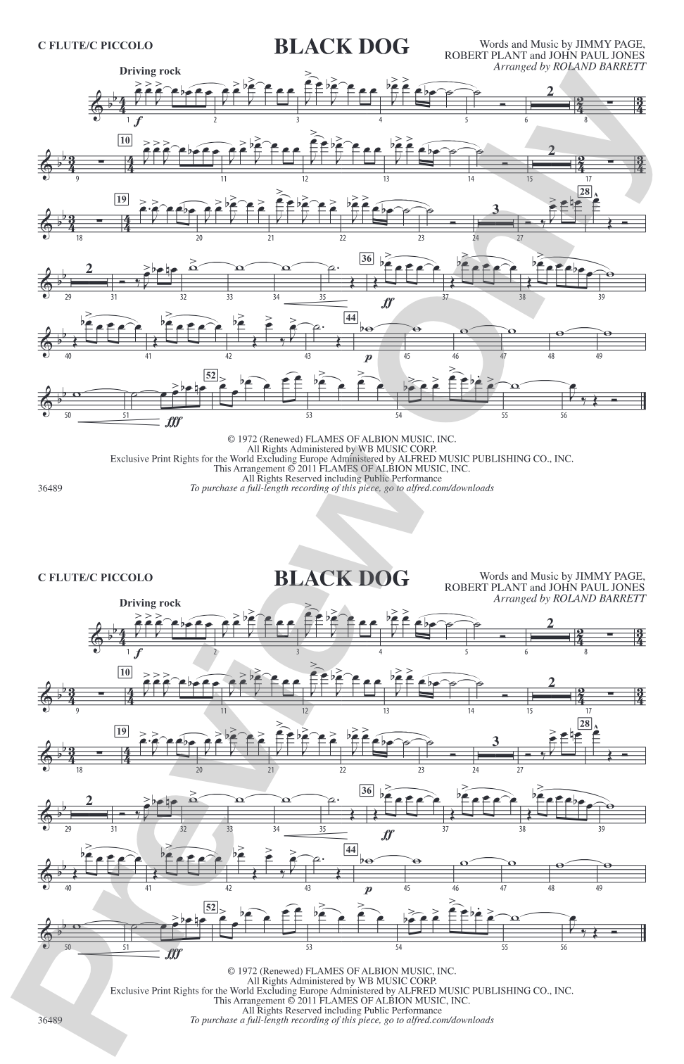 Black Dog: Flute