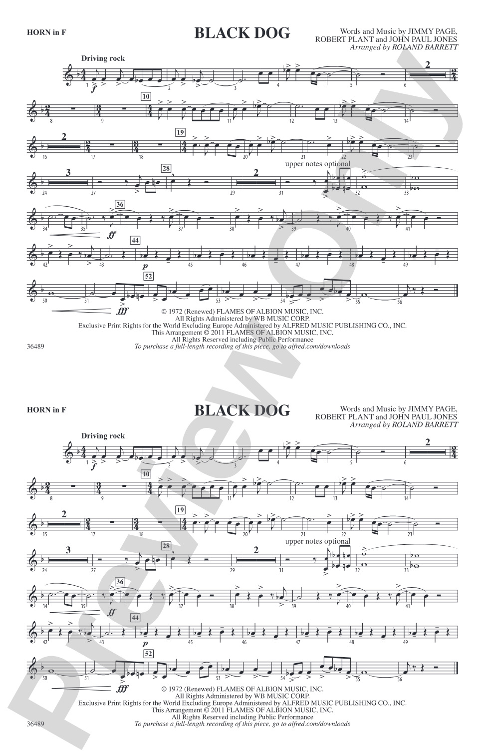 Black Dog: 1st F Horn