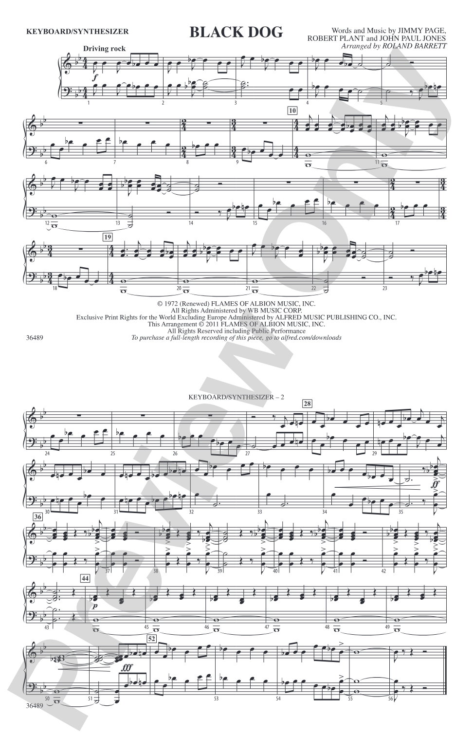 Black Dog: Keyboard/Synthesizer