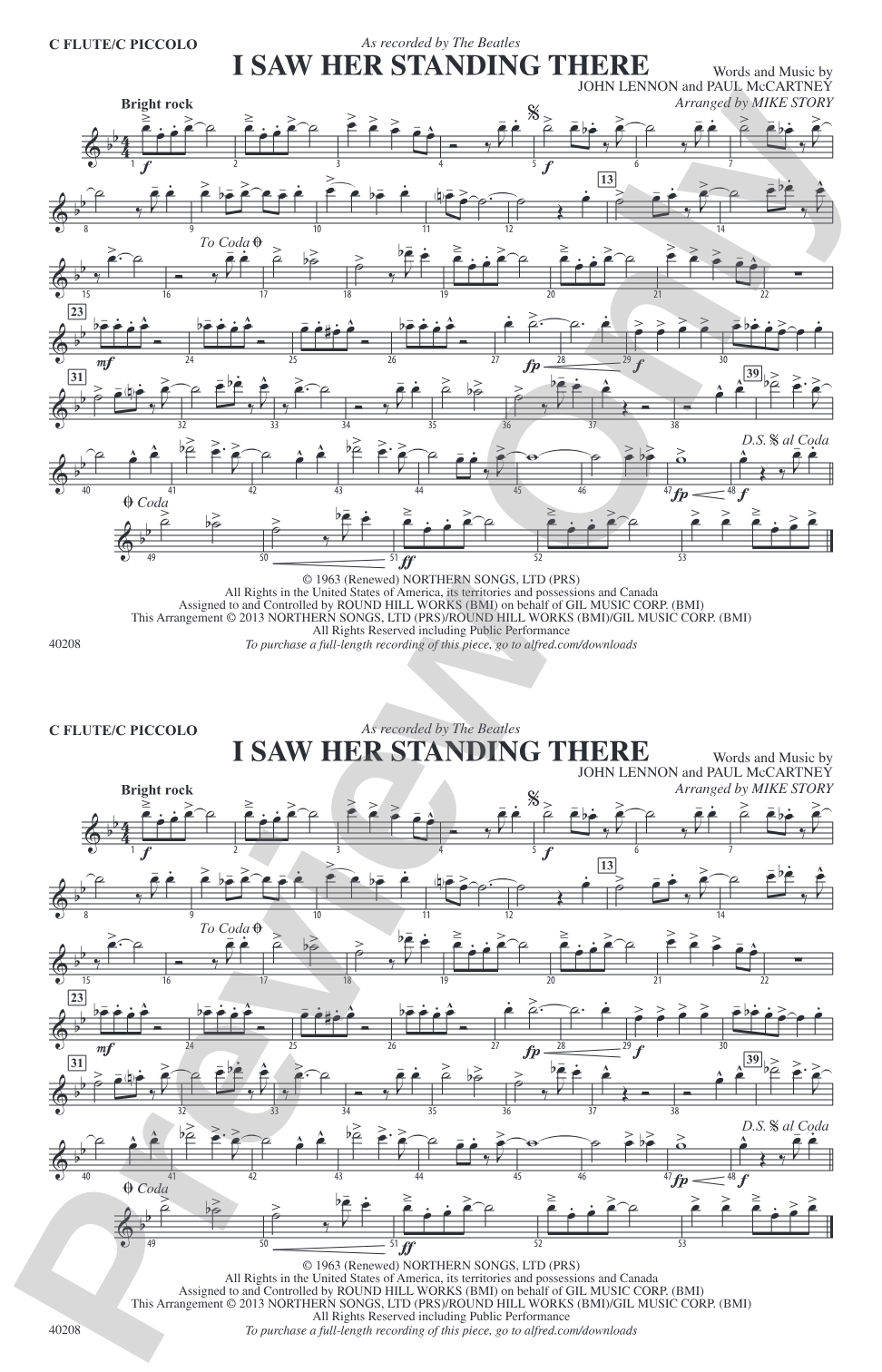 I Saw Her Standing There: Flute