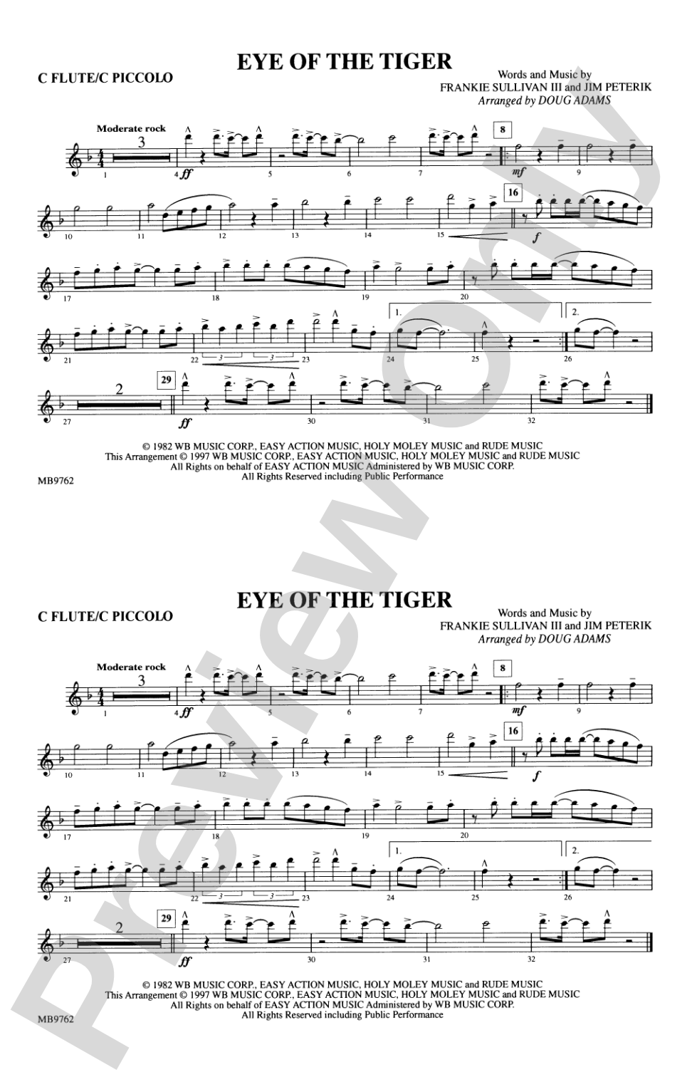 Eye of the Tiger: Flute