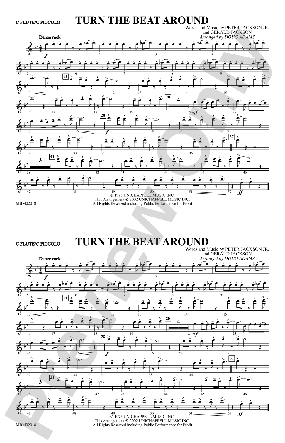 Turn the Beat Around: Flute