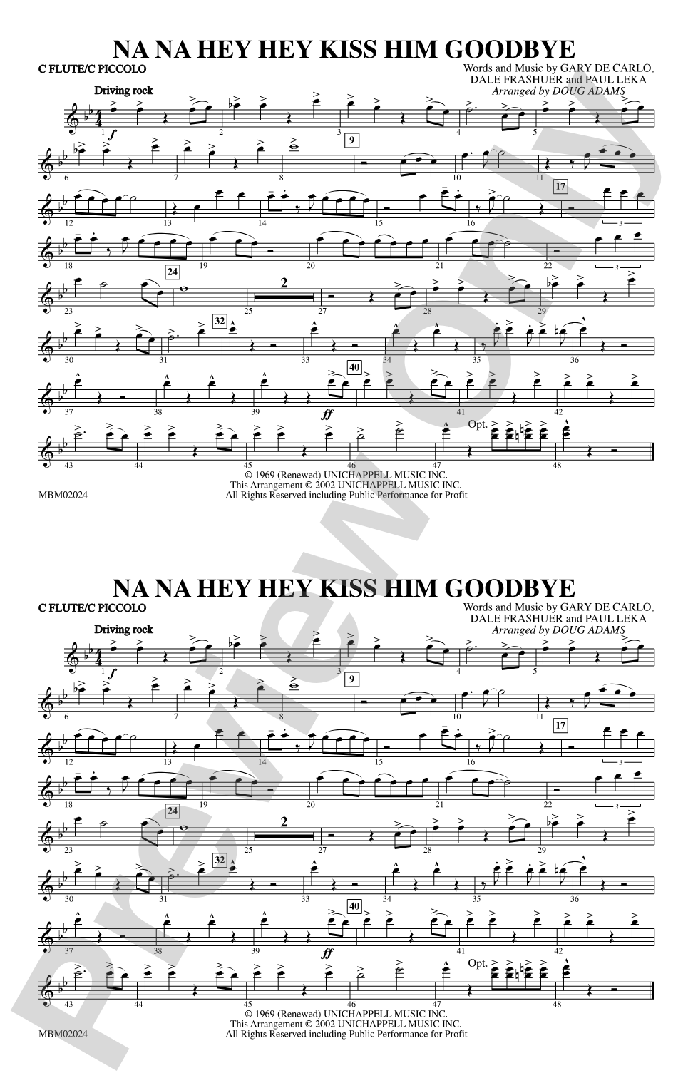 Na Na Hey Hey Kiss Him Goodbye: Flute