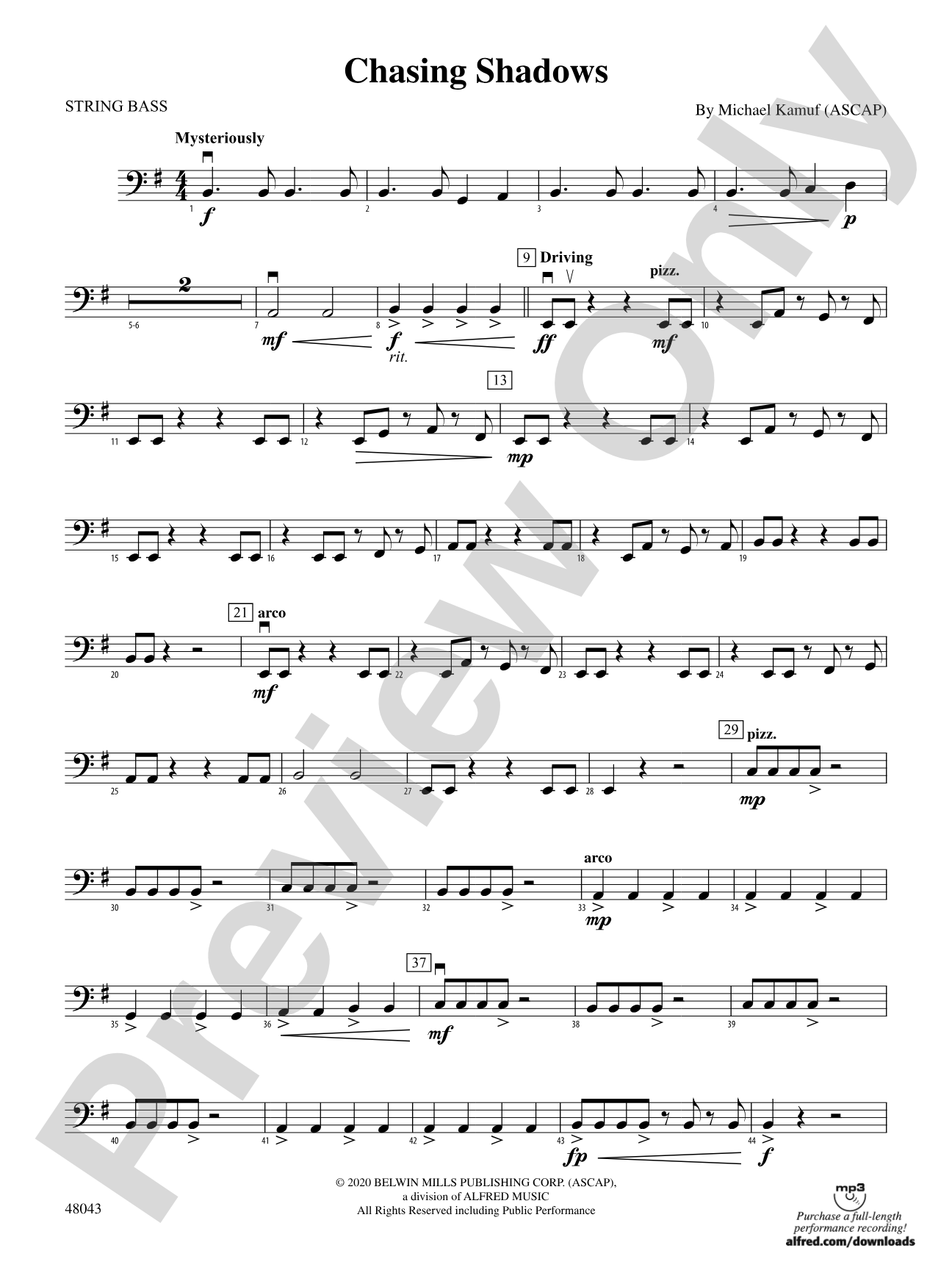 Chasing Shadows: String Bass