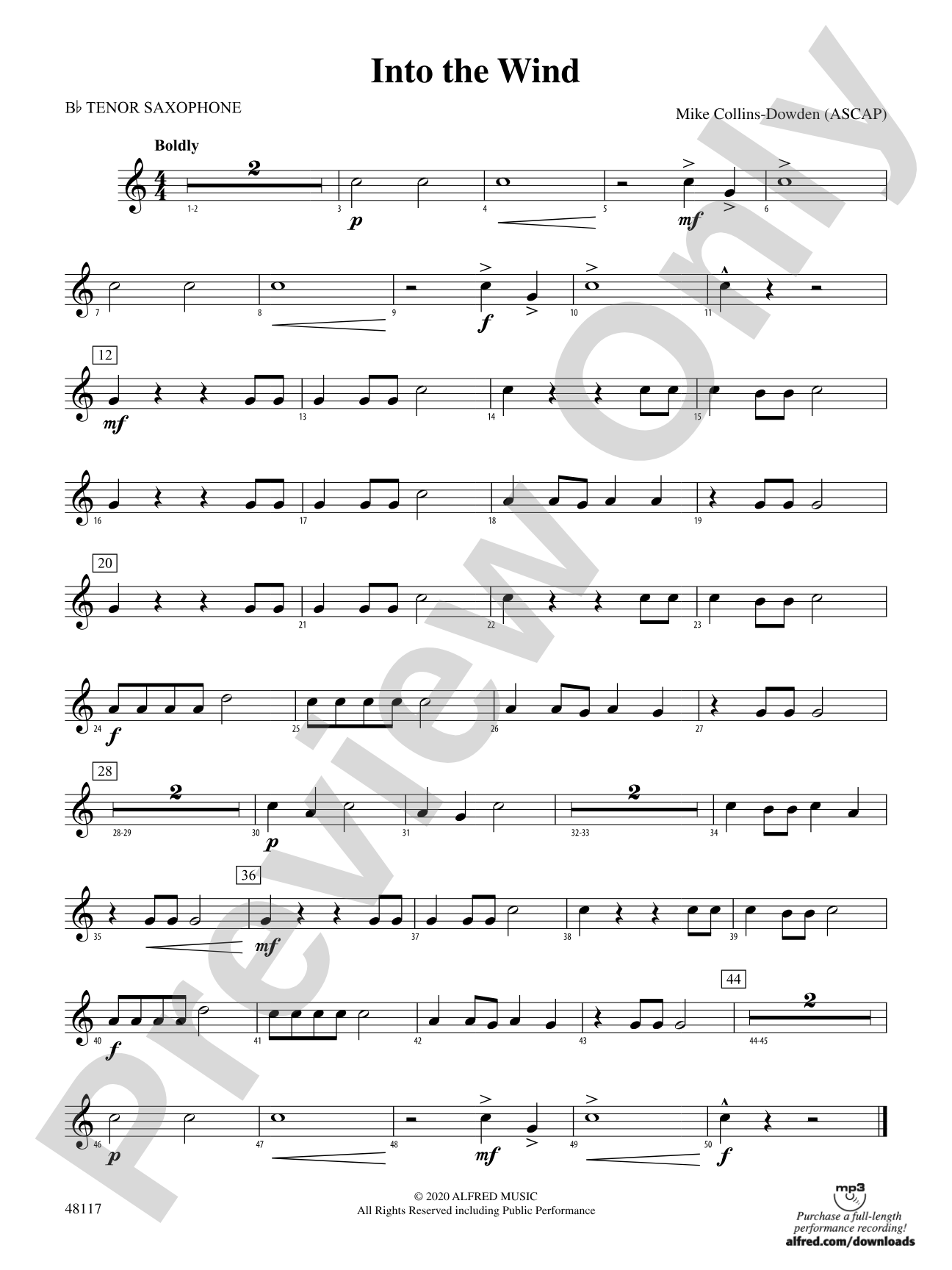 Into the Wind: B-flat Tenor Saxophone