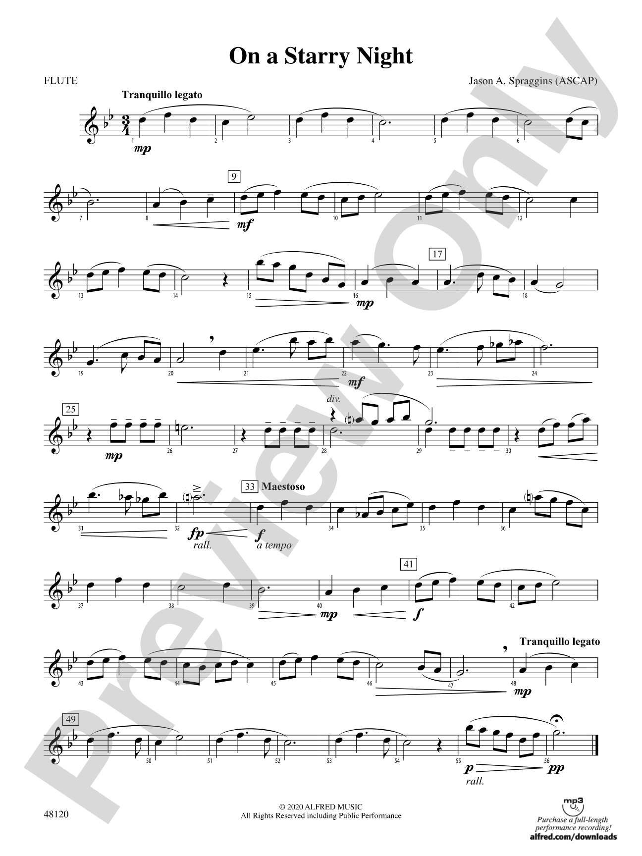 On a Starry Night: Flute