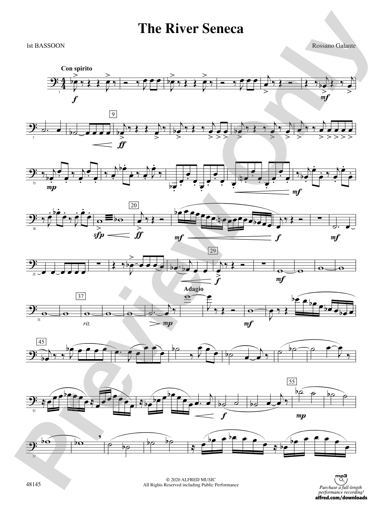 The River Seneca: Bassoon