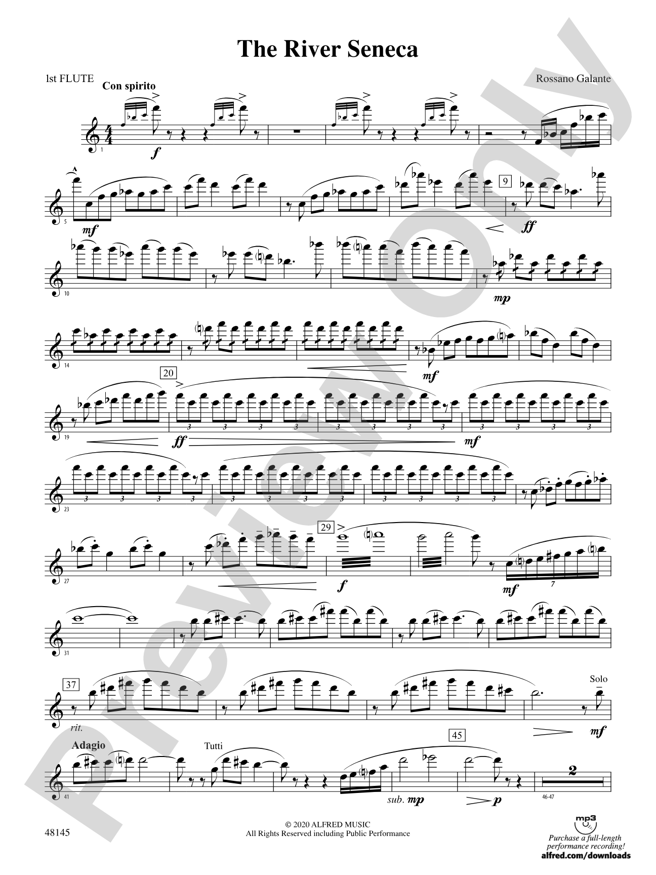 The River Seneca: Flute