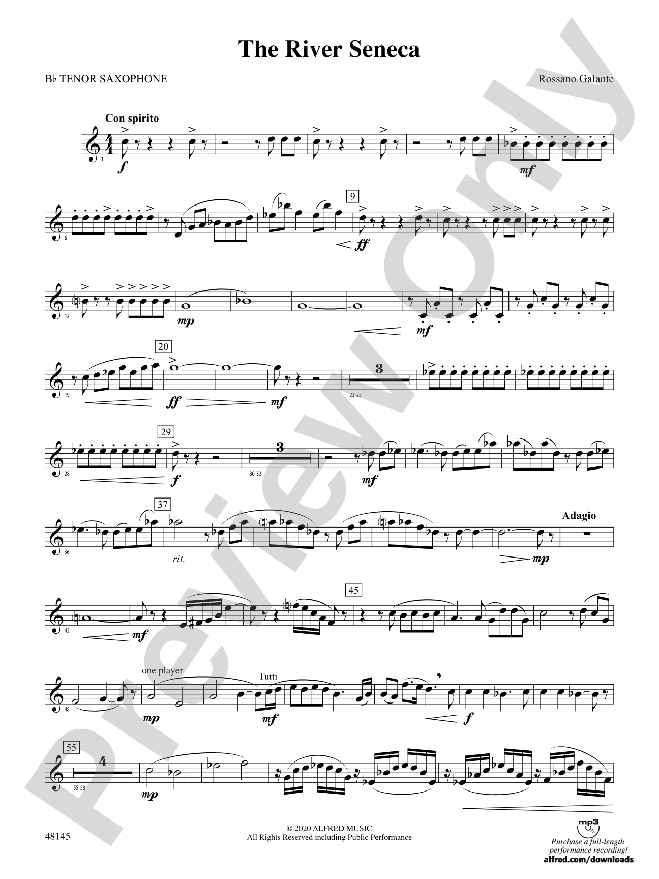 The River Seneca: B-flat Tenor Saxophone