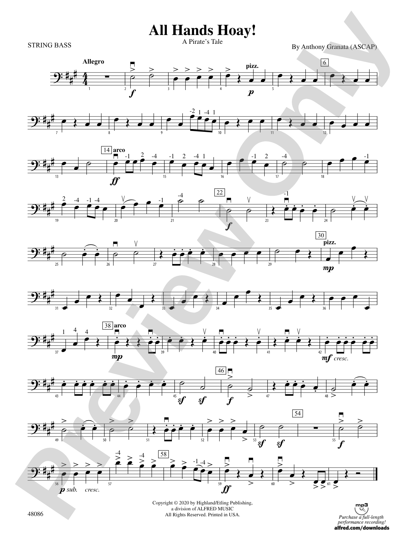 All Hands Hoay!: String Bass