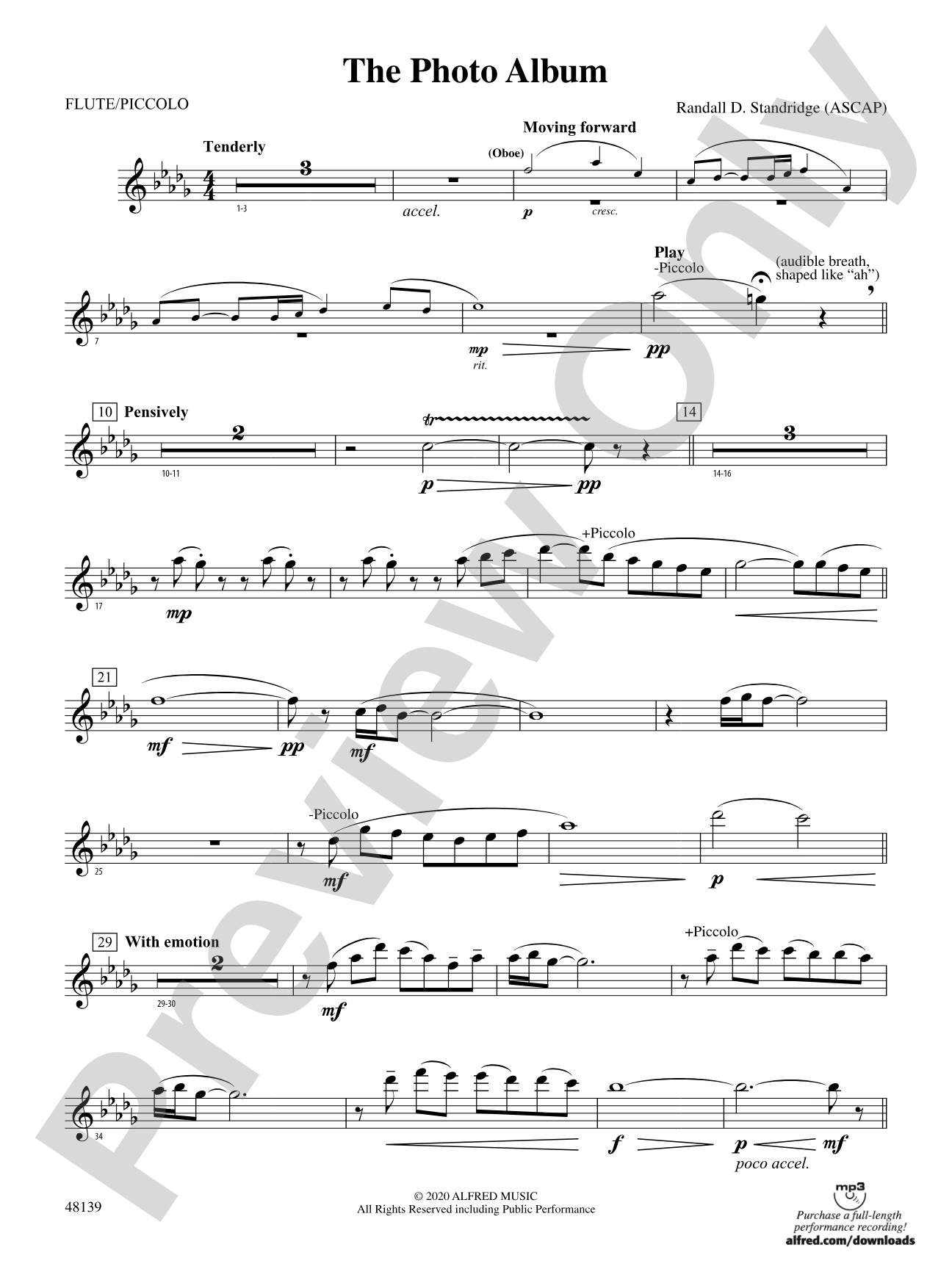 The Photo Album: Flute