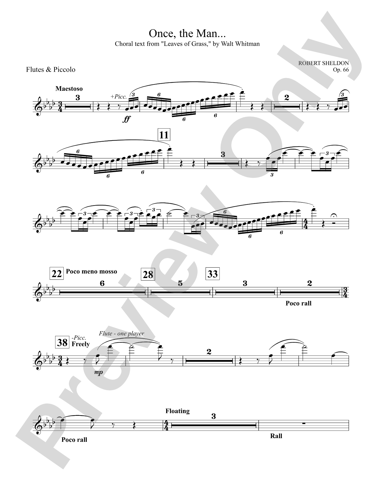 Once, the Man...: Flute