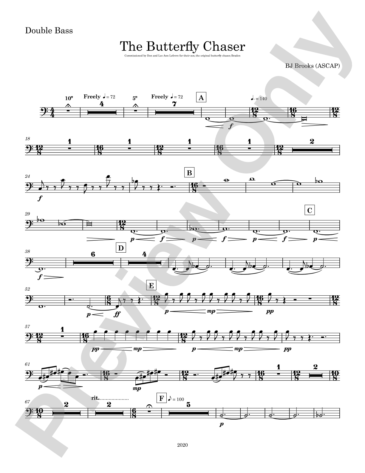 The Butterfly Chaser: String Bass