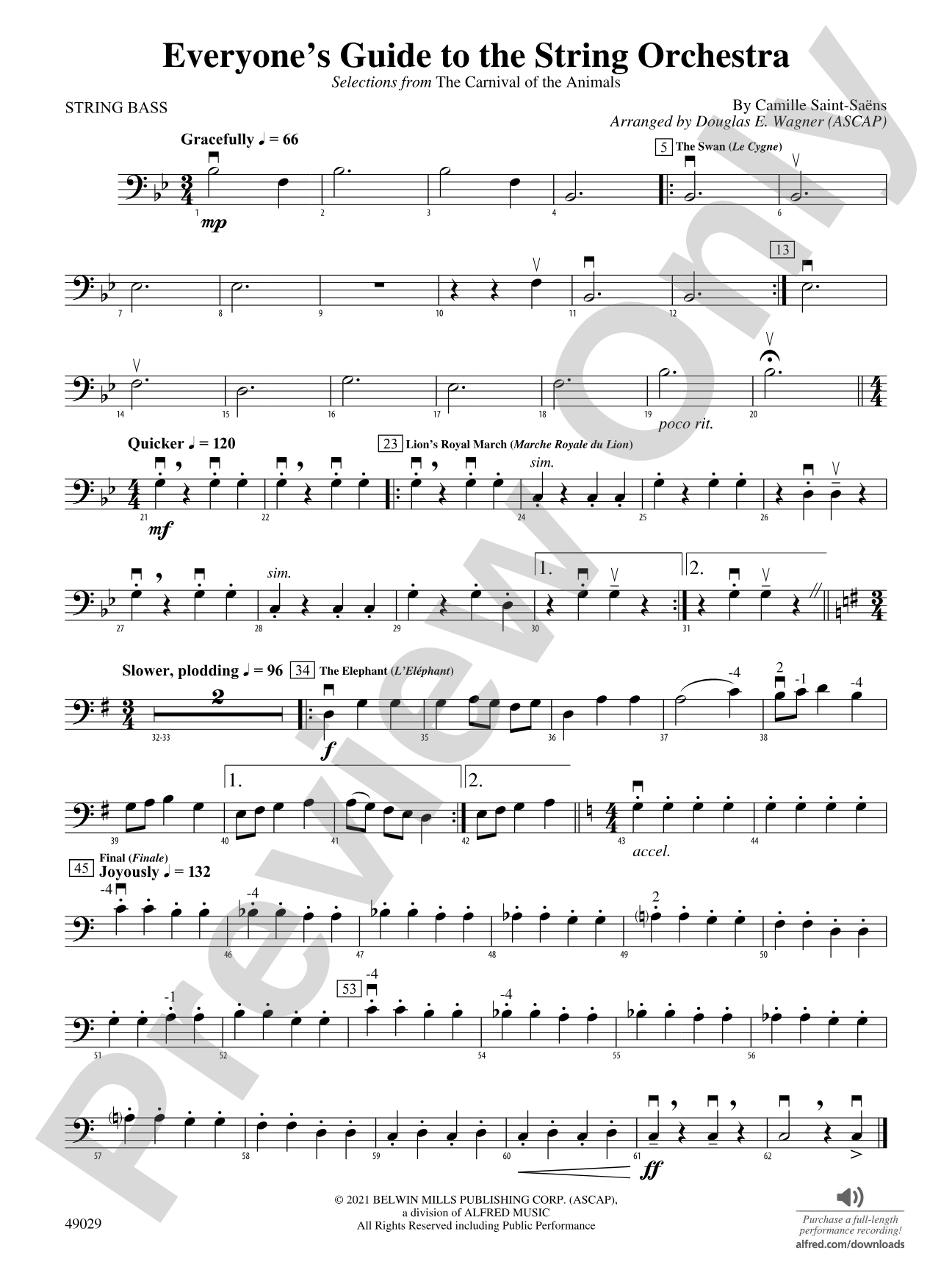 Everyone's Guide to the String Orchestra: String Bass