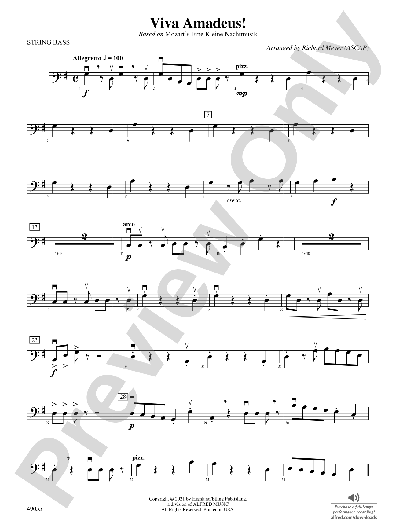 Viva Amadeus!: String Bass
