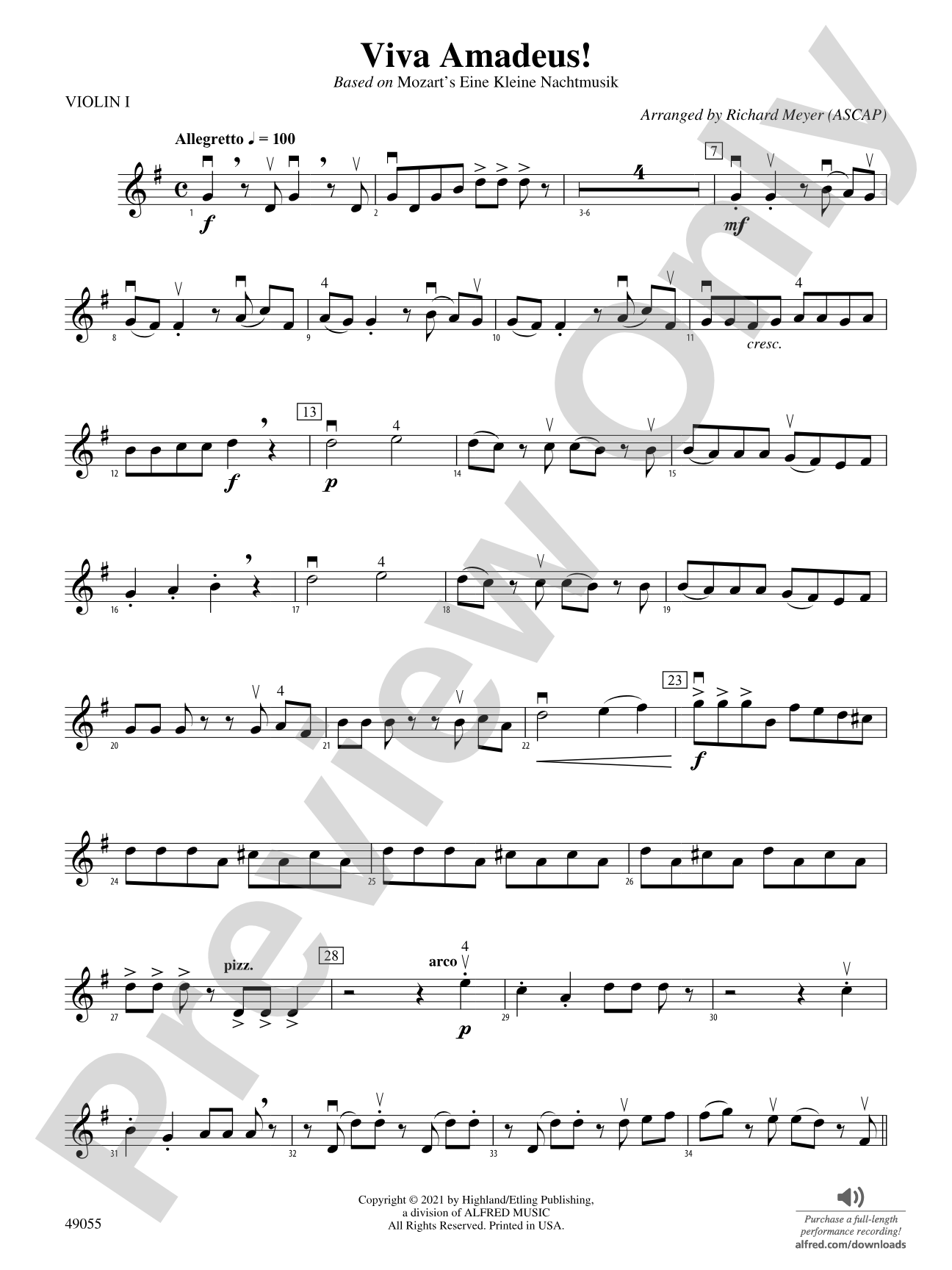 Viva Amadeus!: 1st Violin