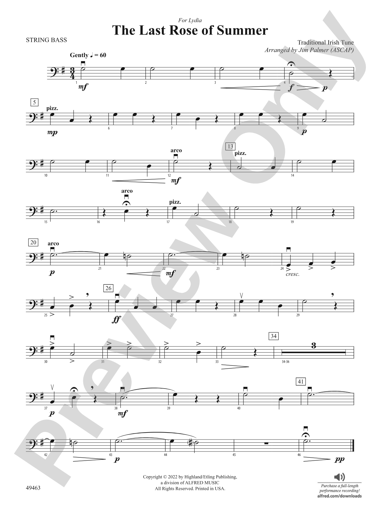 The Last Rose of Summer: String Bass