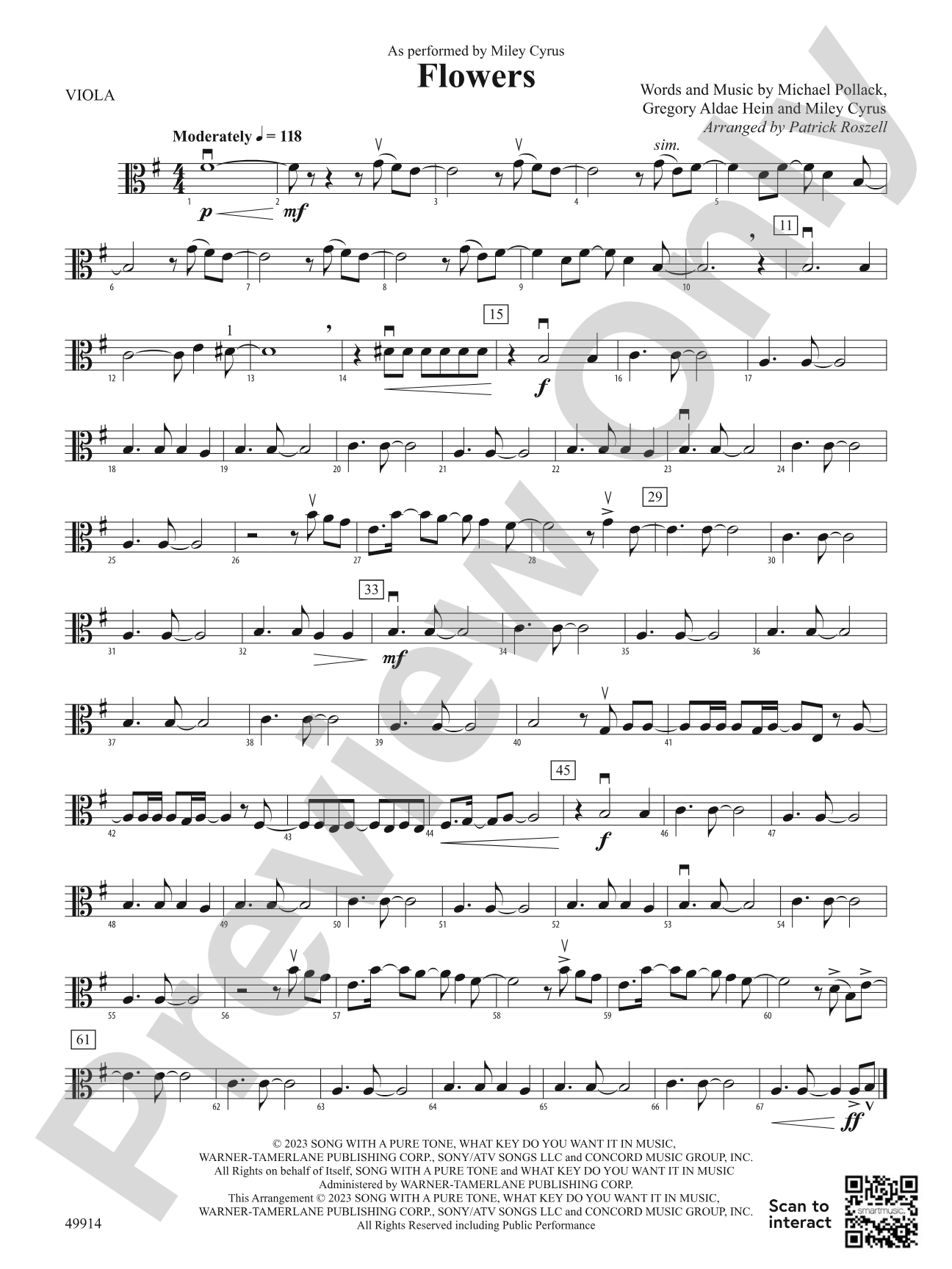 Flowers: Viola